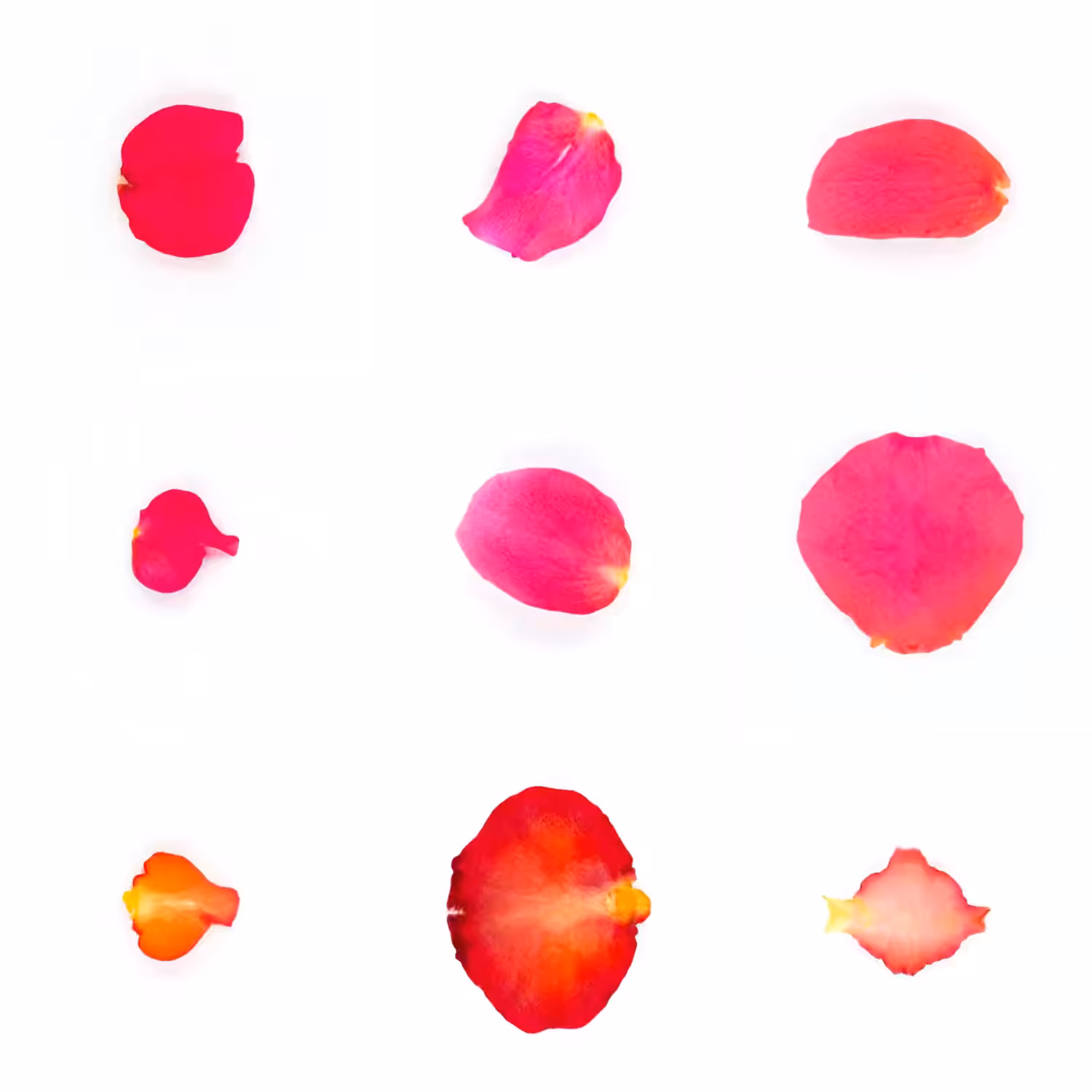 Infinite Petals 3x3#3704