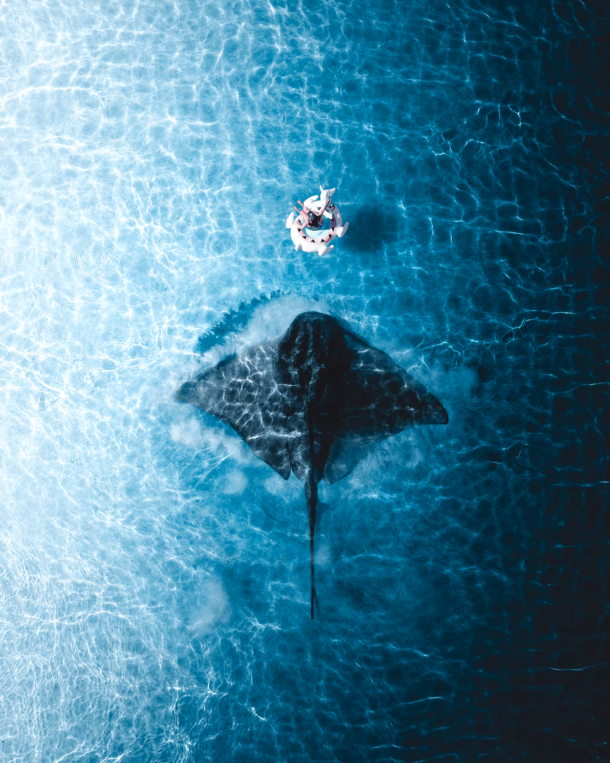 Ray of Nope