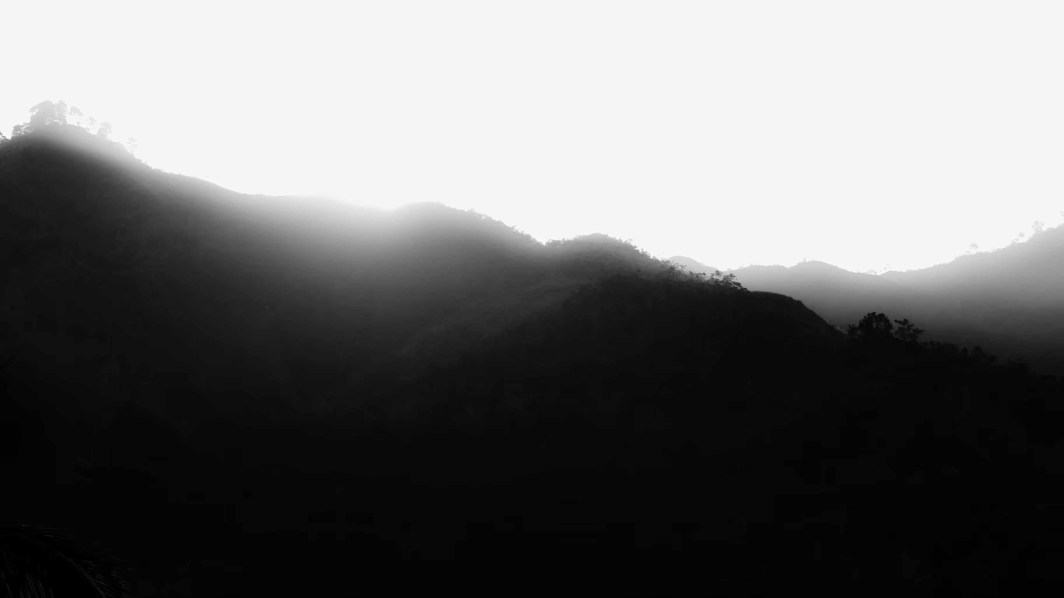 Clarity