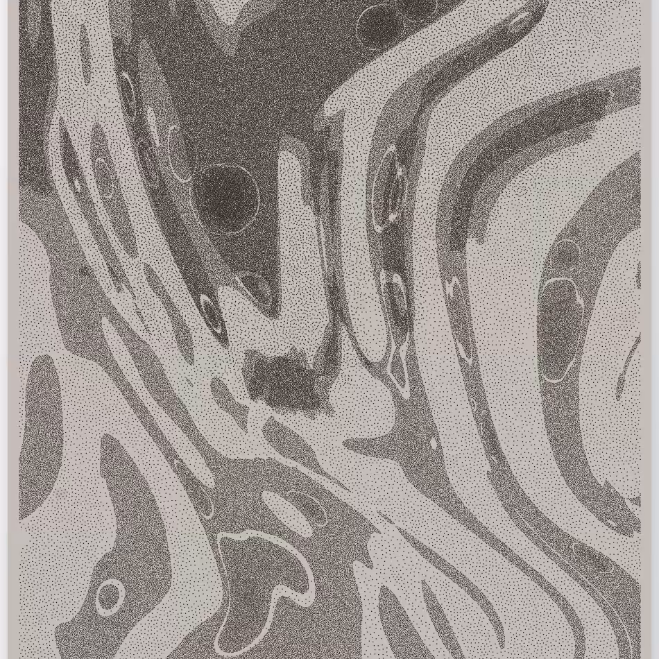 Caustics #1