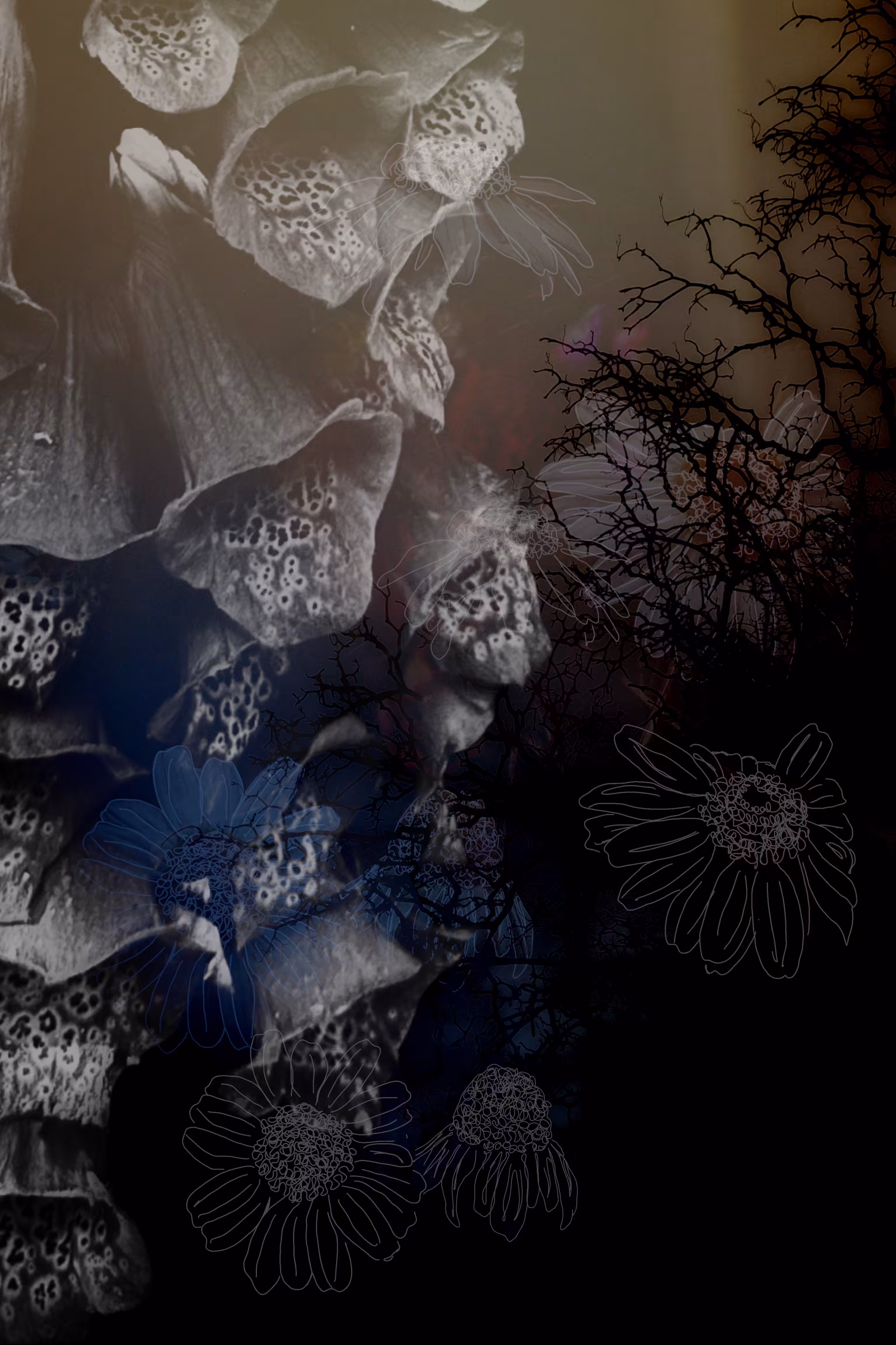 Nightmare Dreams