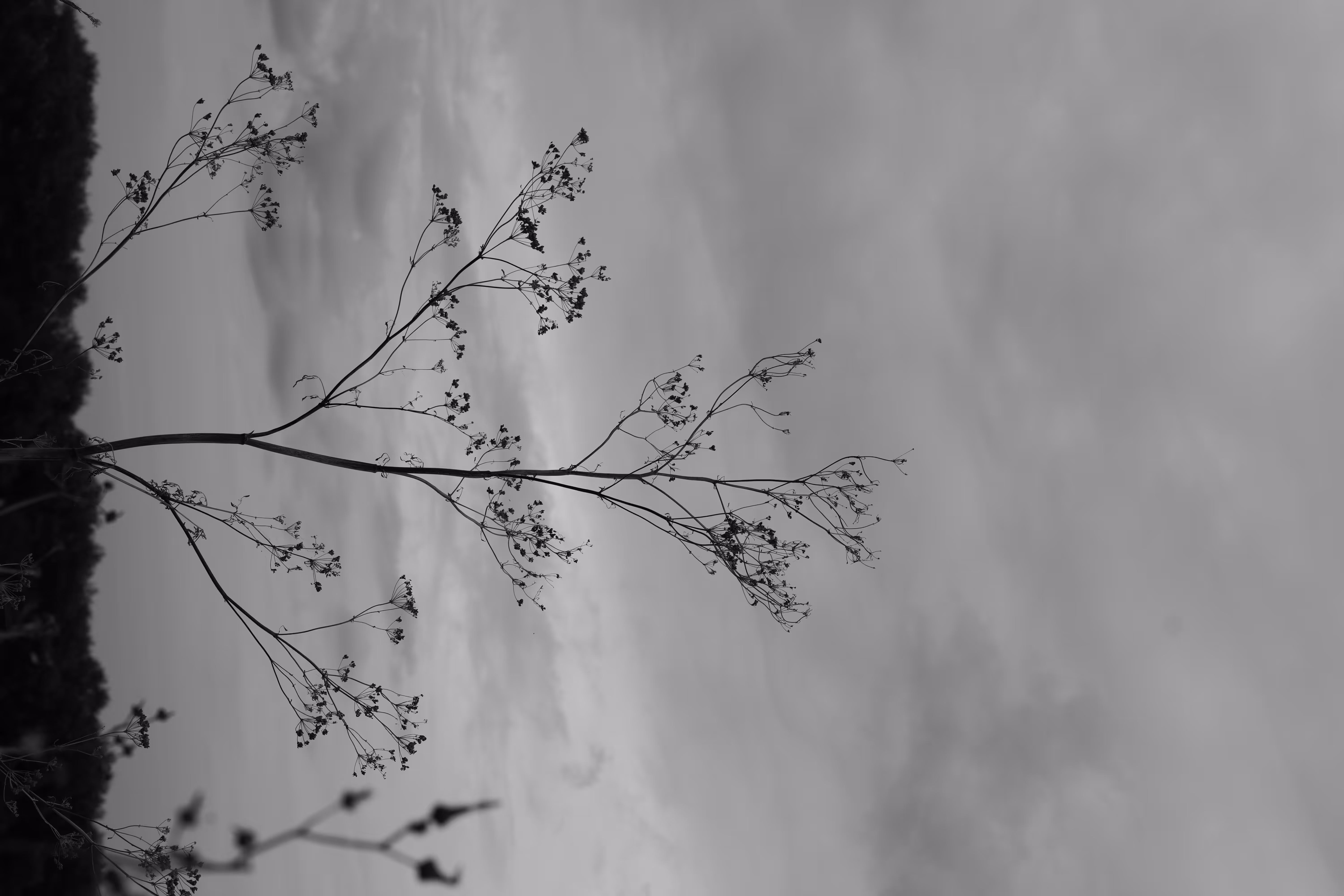 Moment in black and white.