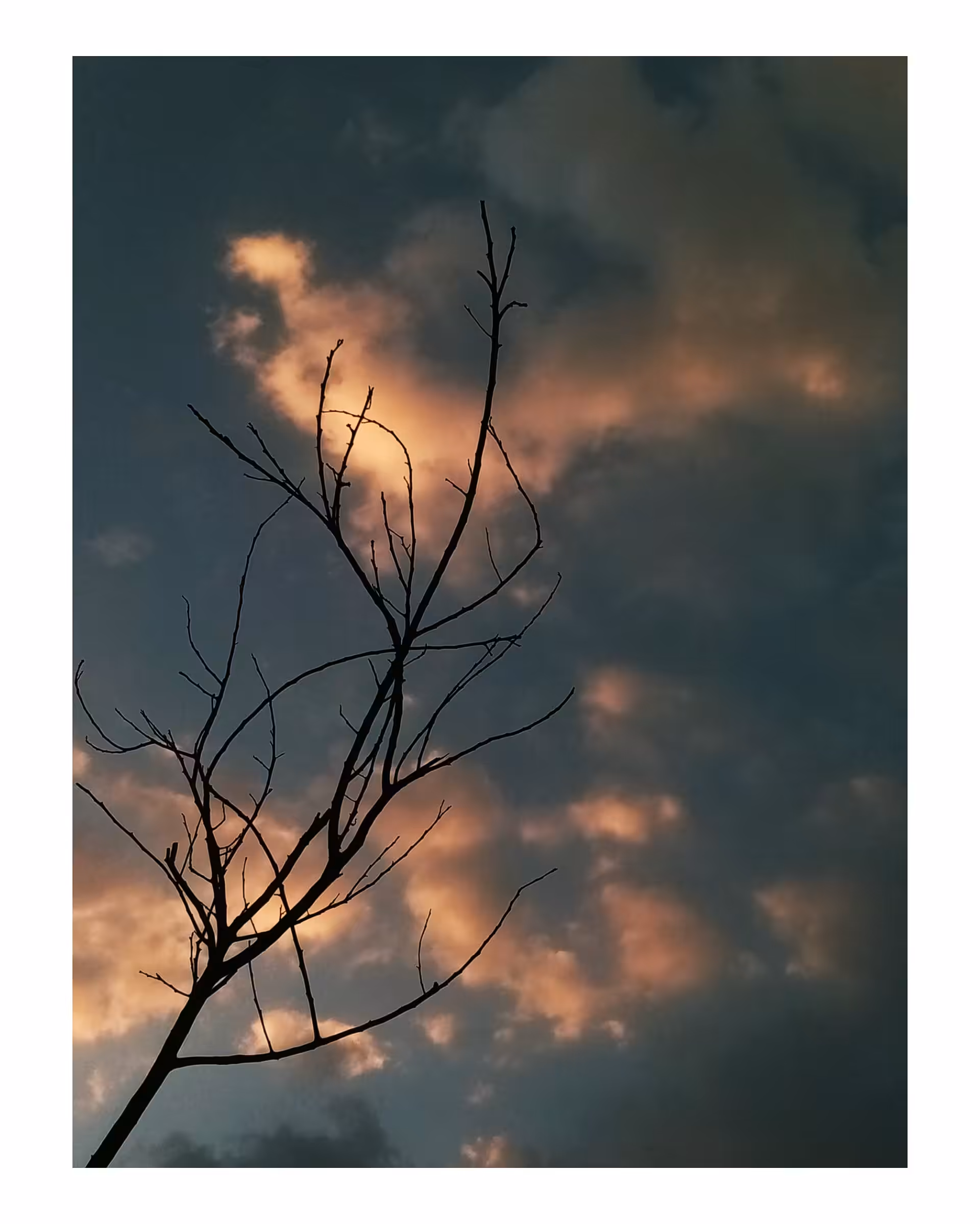 Natural Frame 