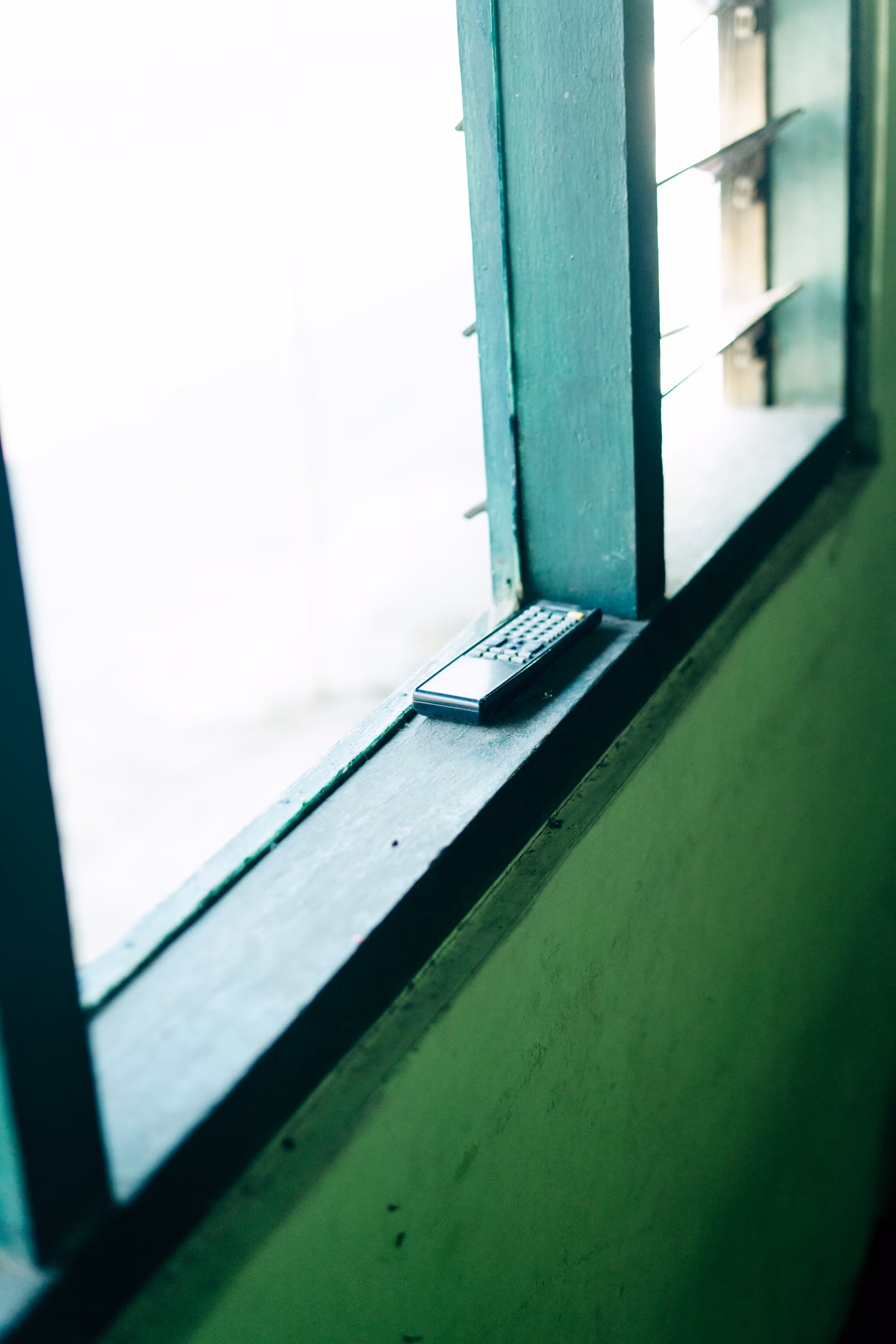 Life Remote (Thing)