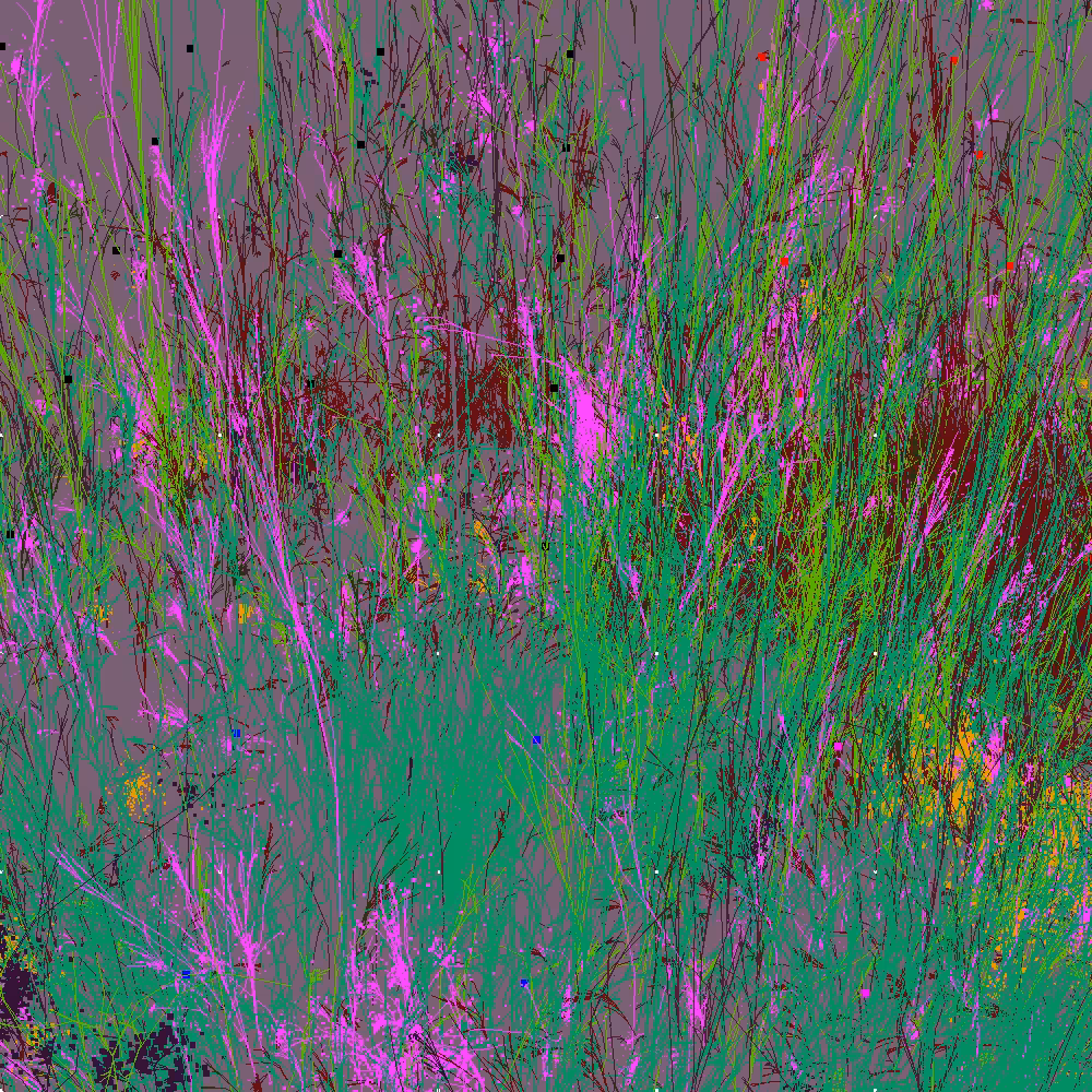 Infinite Garden: 42539 Flowers