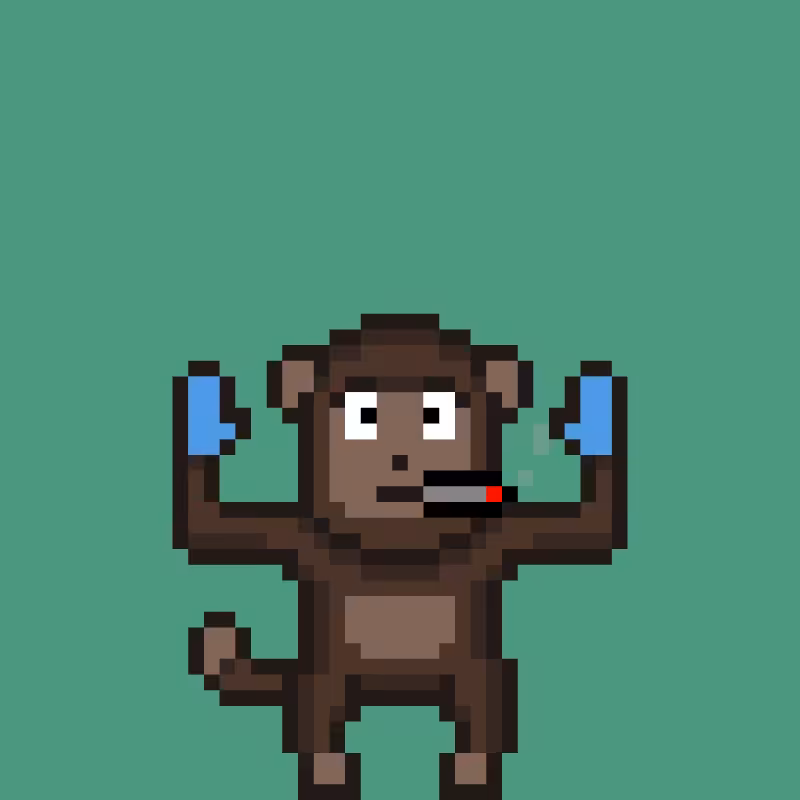 fxMonkeys #116
