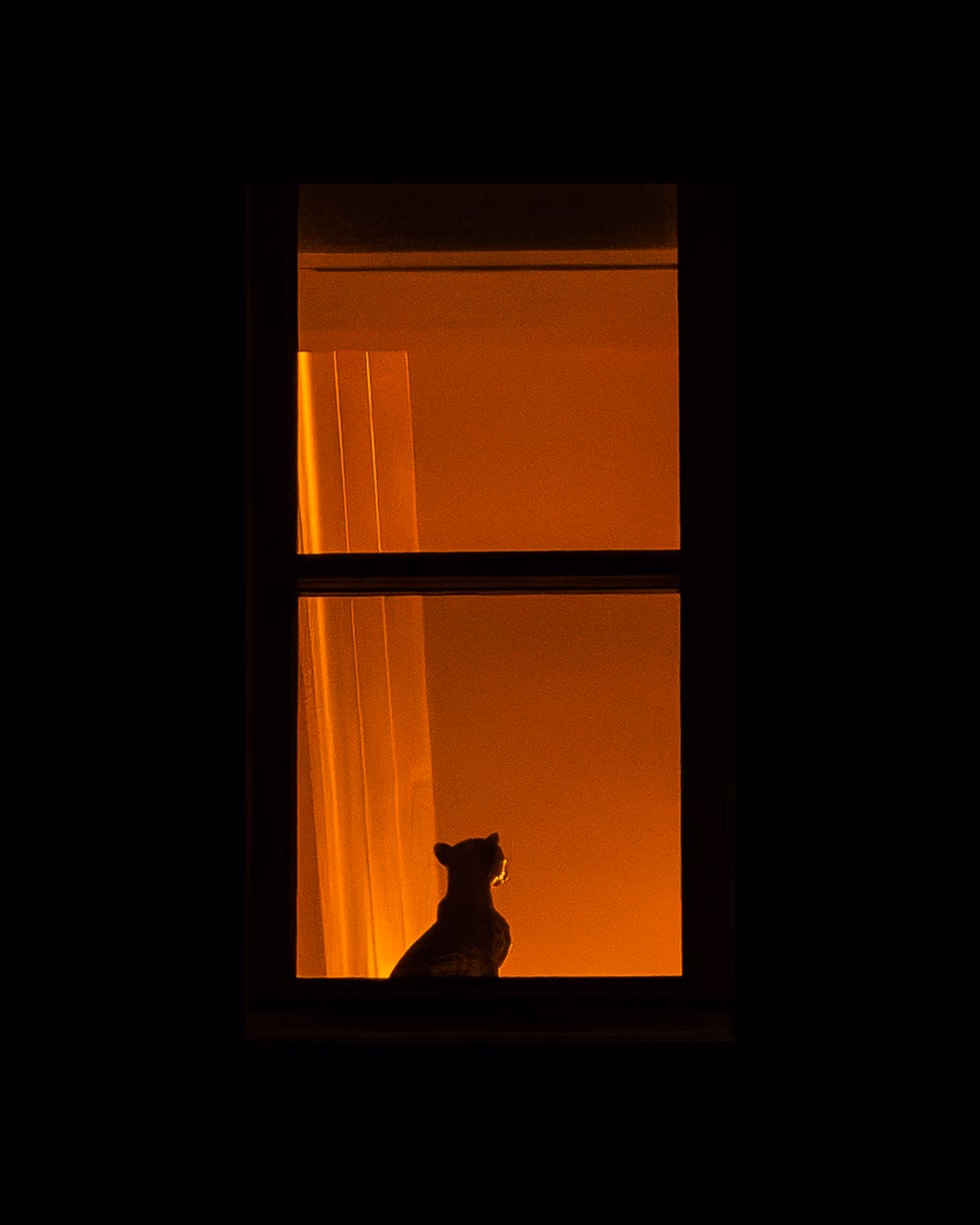 WINDOW 910