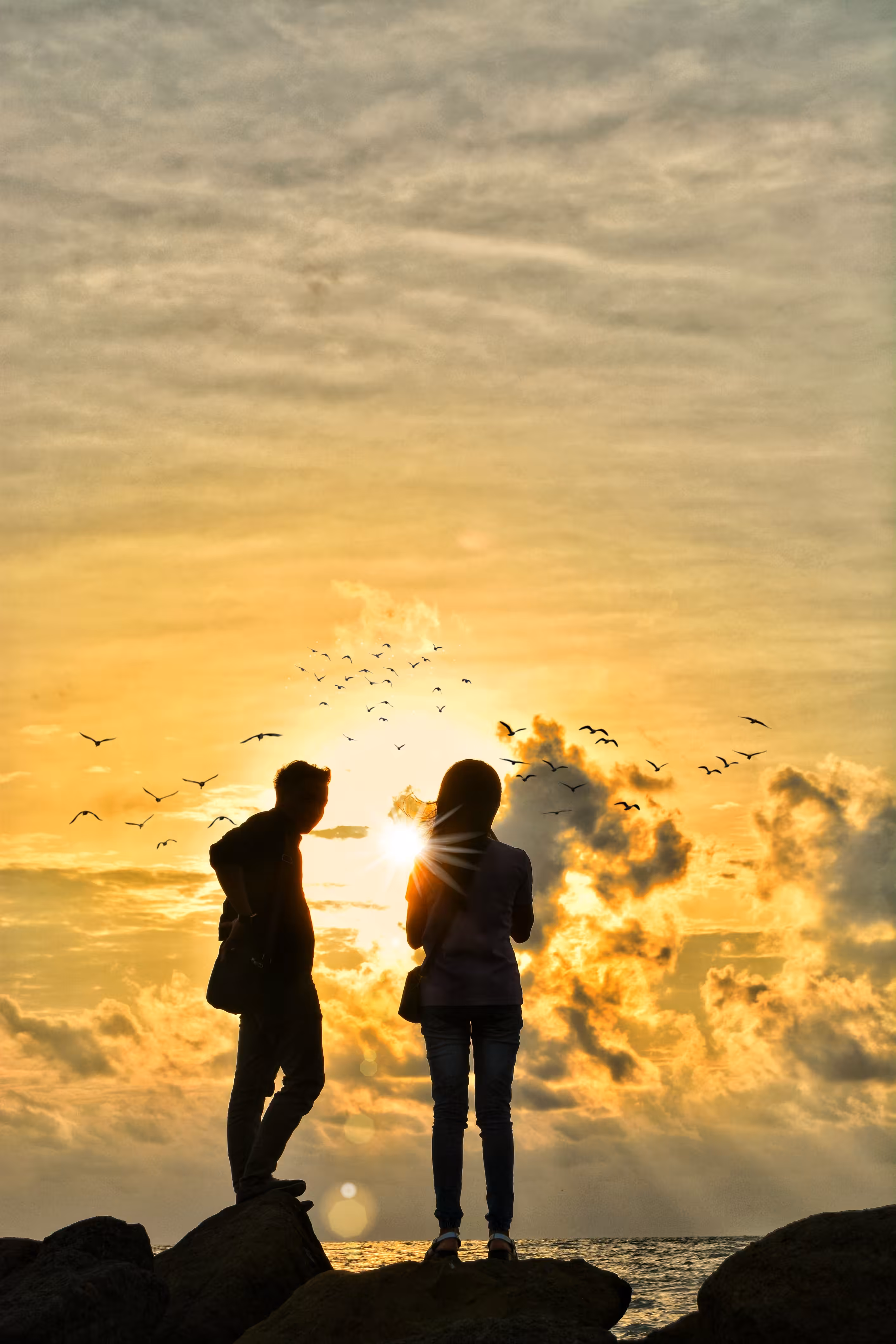 Choosen Journey