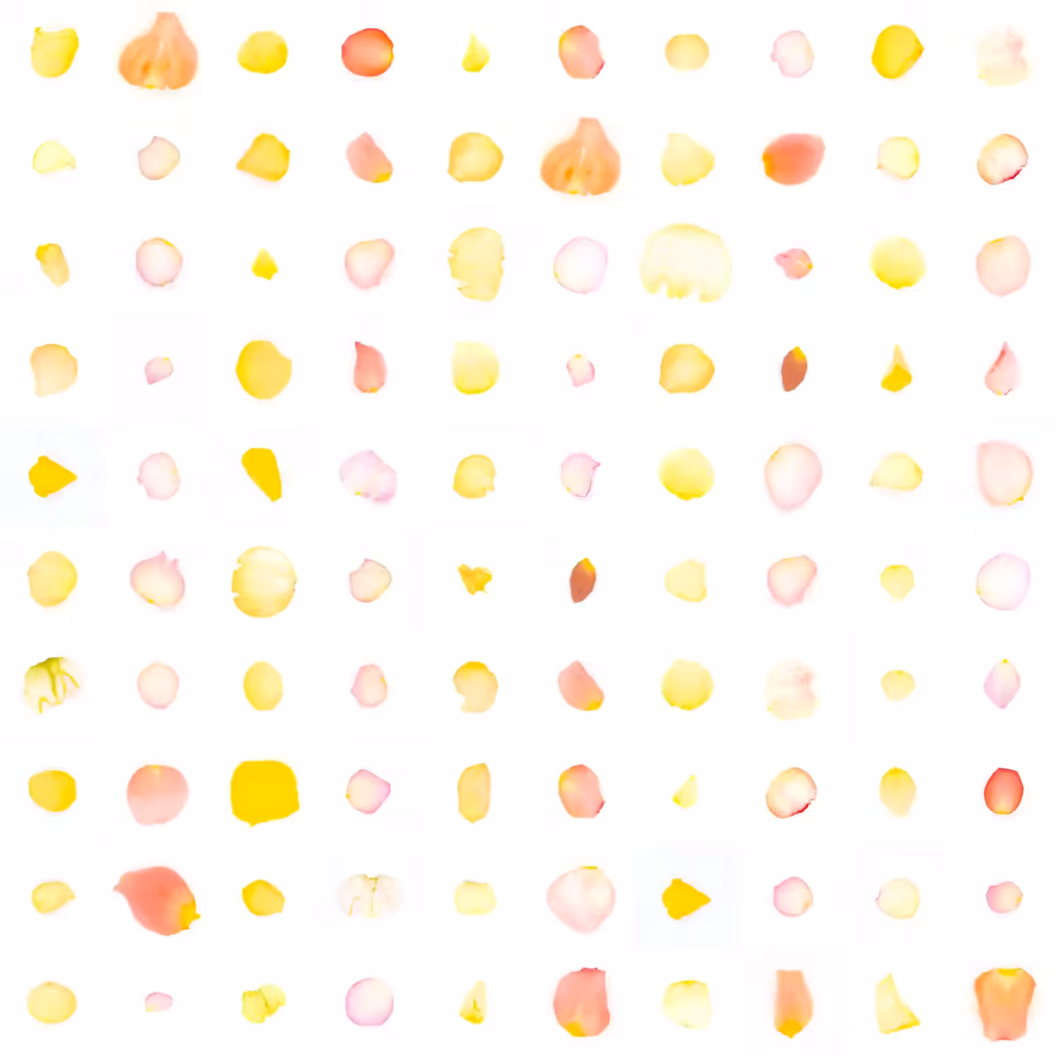 Infinite Petals 10x10#1119