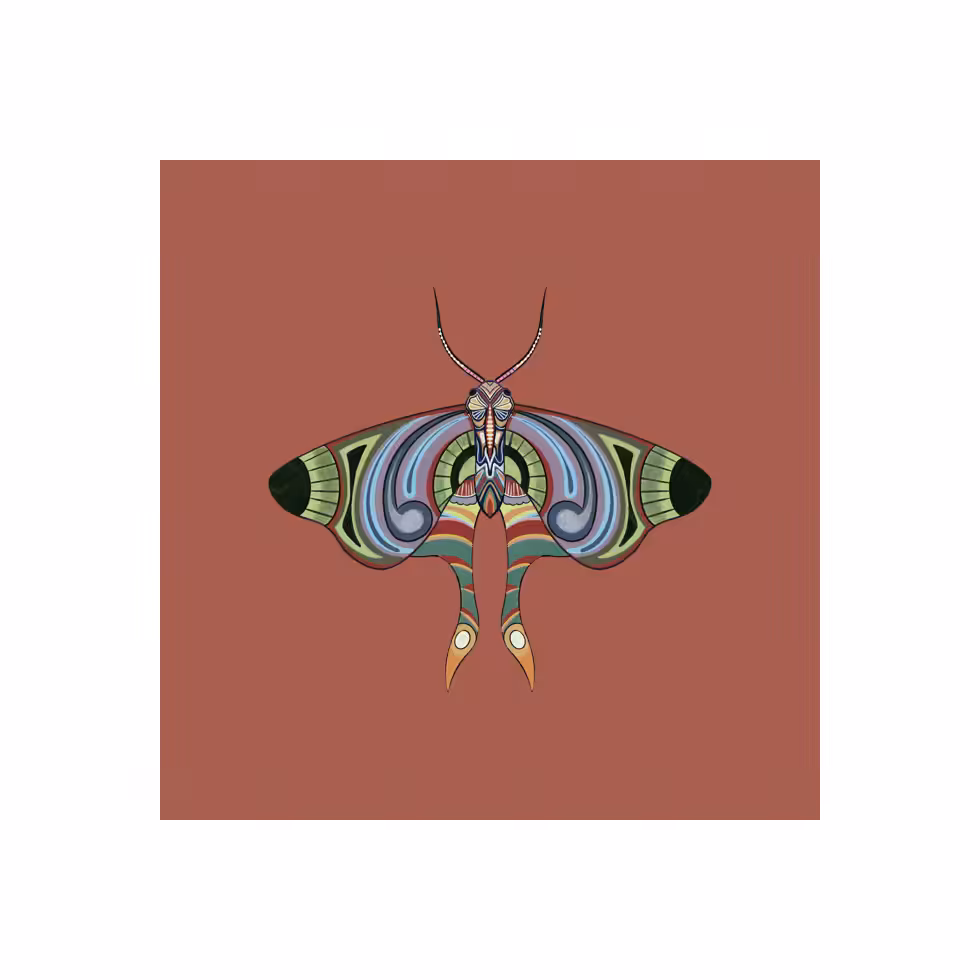 The Moth Experiment  #20
