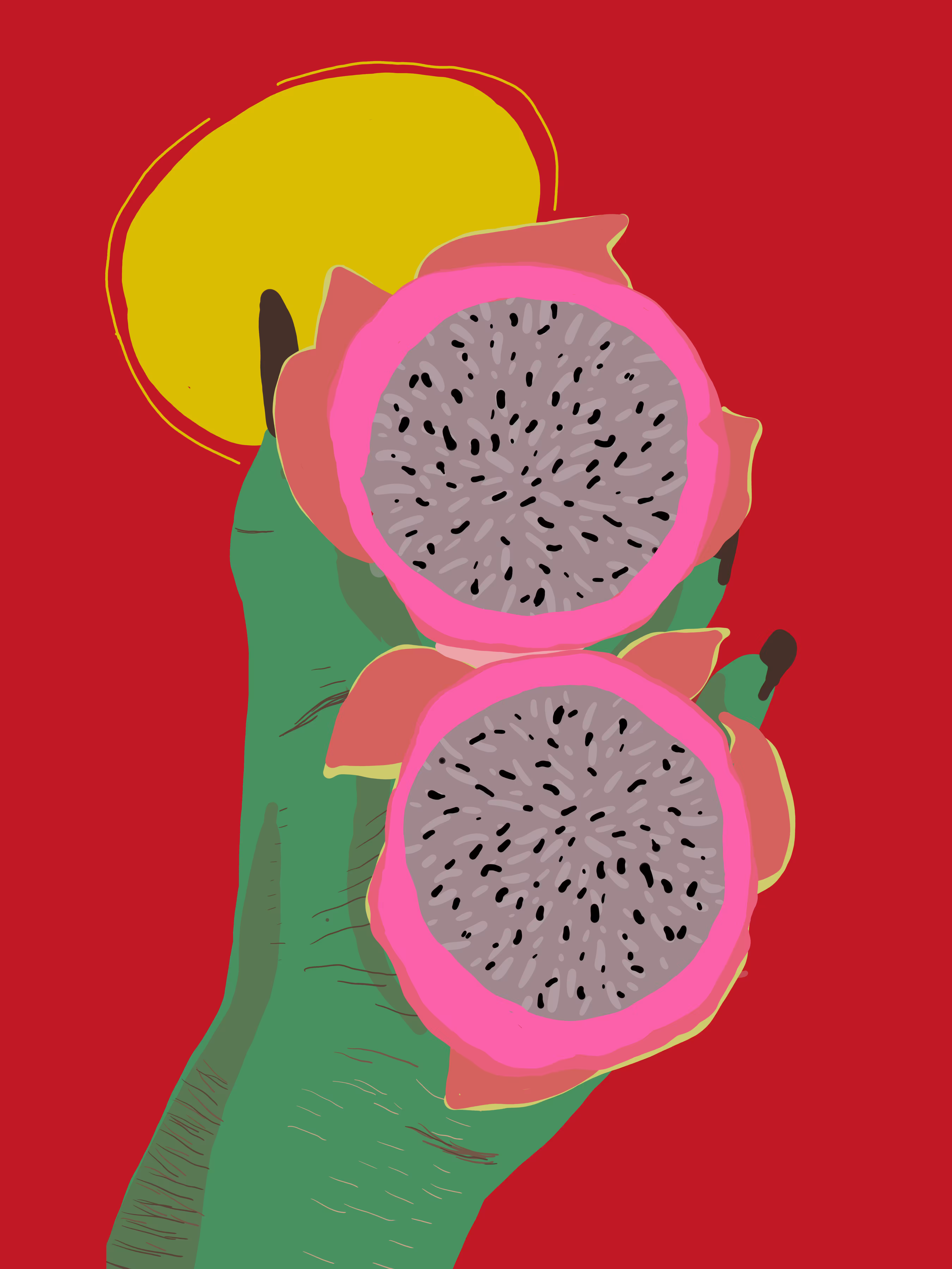 𝓕𝓻𝓾𝓽𝓪-𝓭𝓸-𝓭𝓻𝓪𝓰𝓪̃𝓸 #1