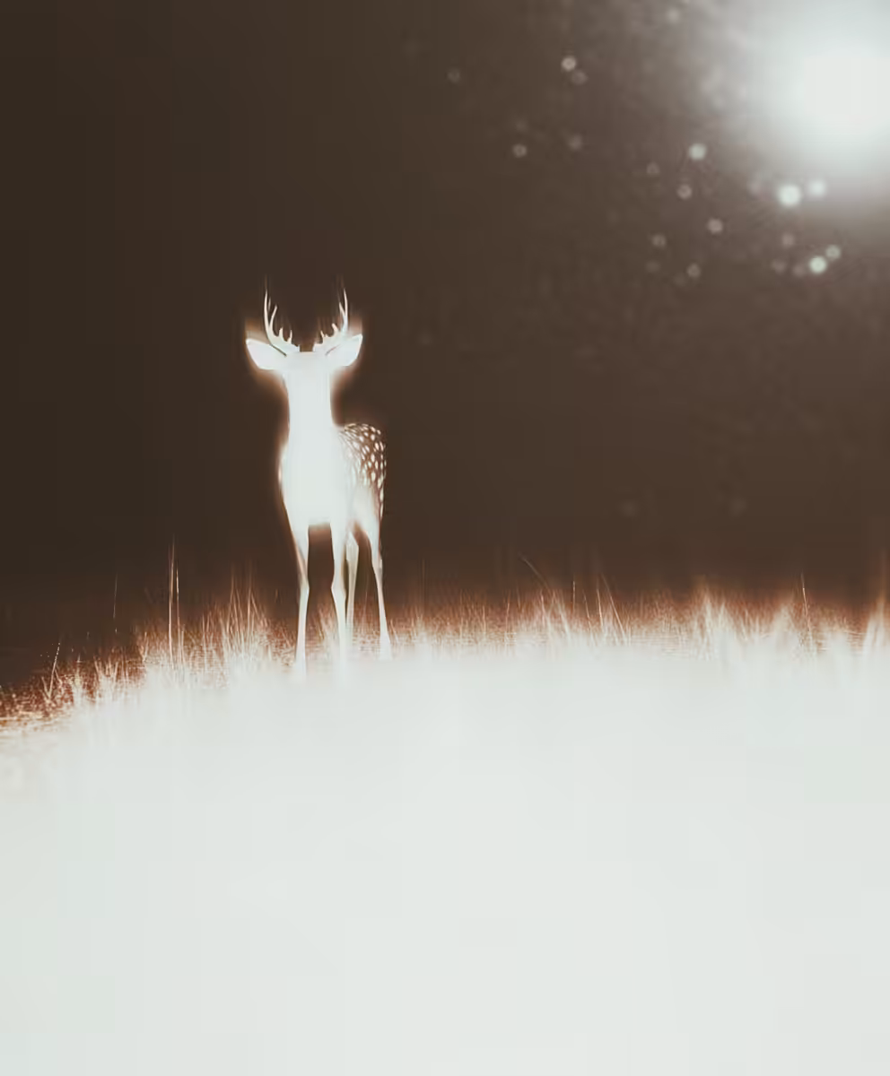 Presence