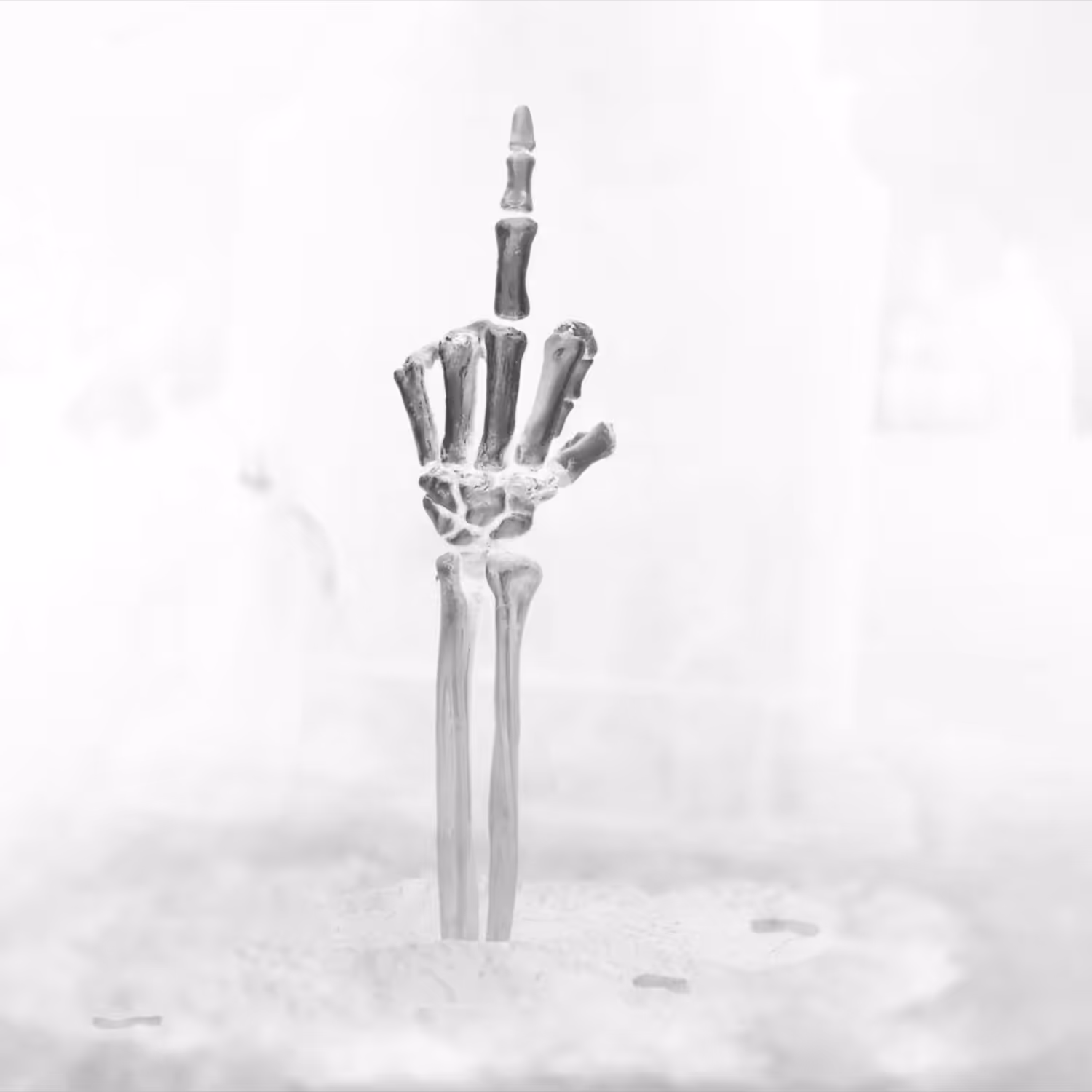 Middle Finger Nifty Bones