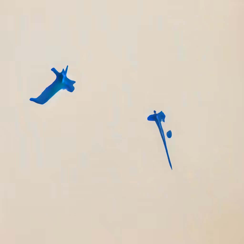 Bones In The Sky Marfa No. 79