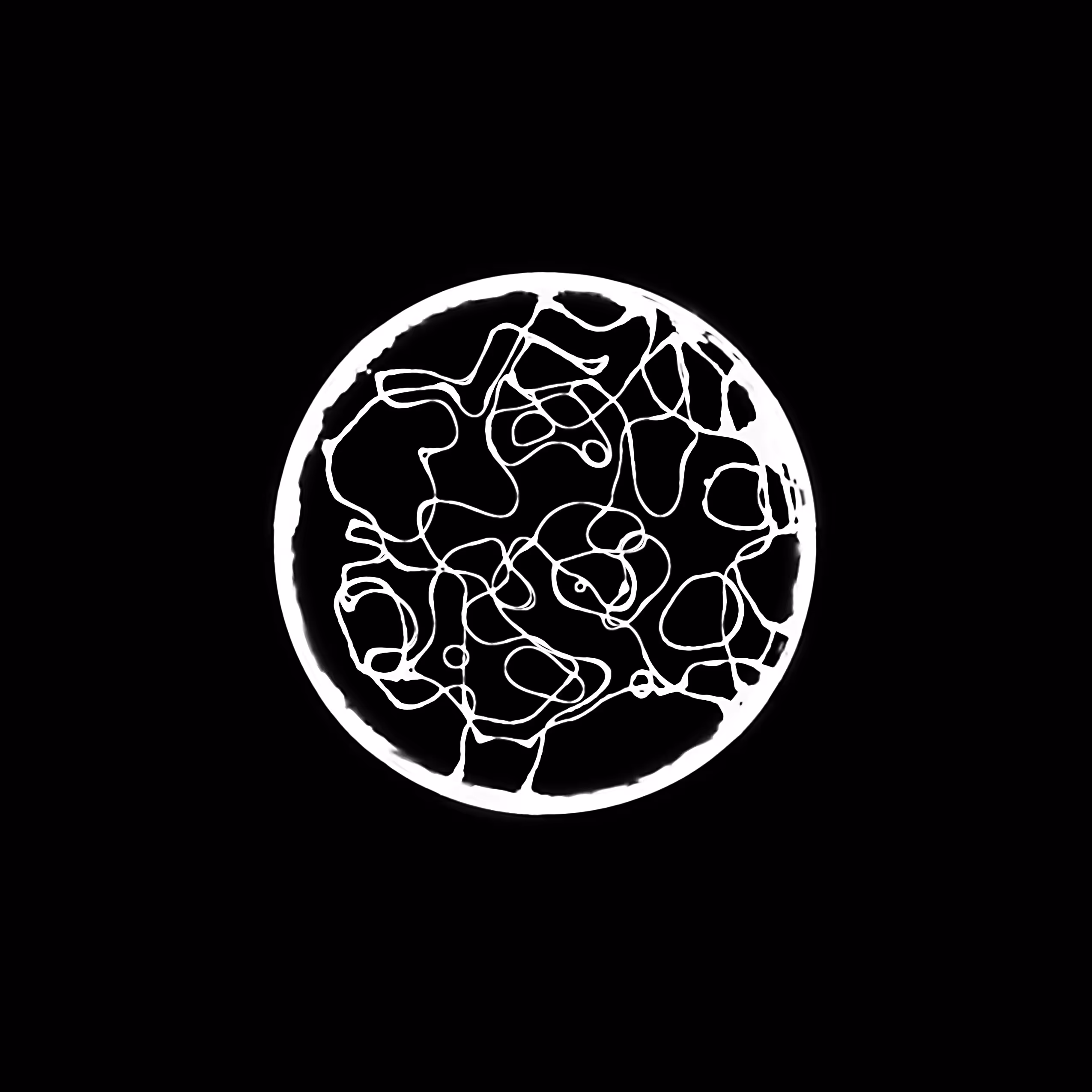 Digital Life Forms