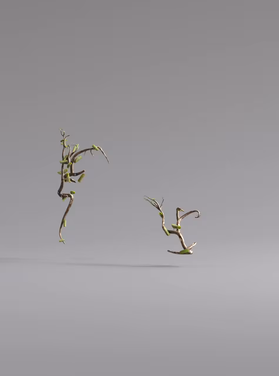 The Gardener