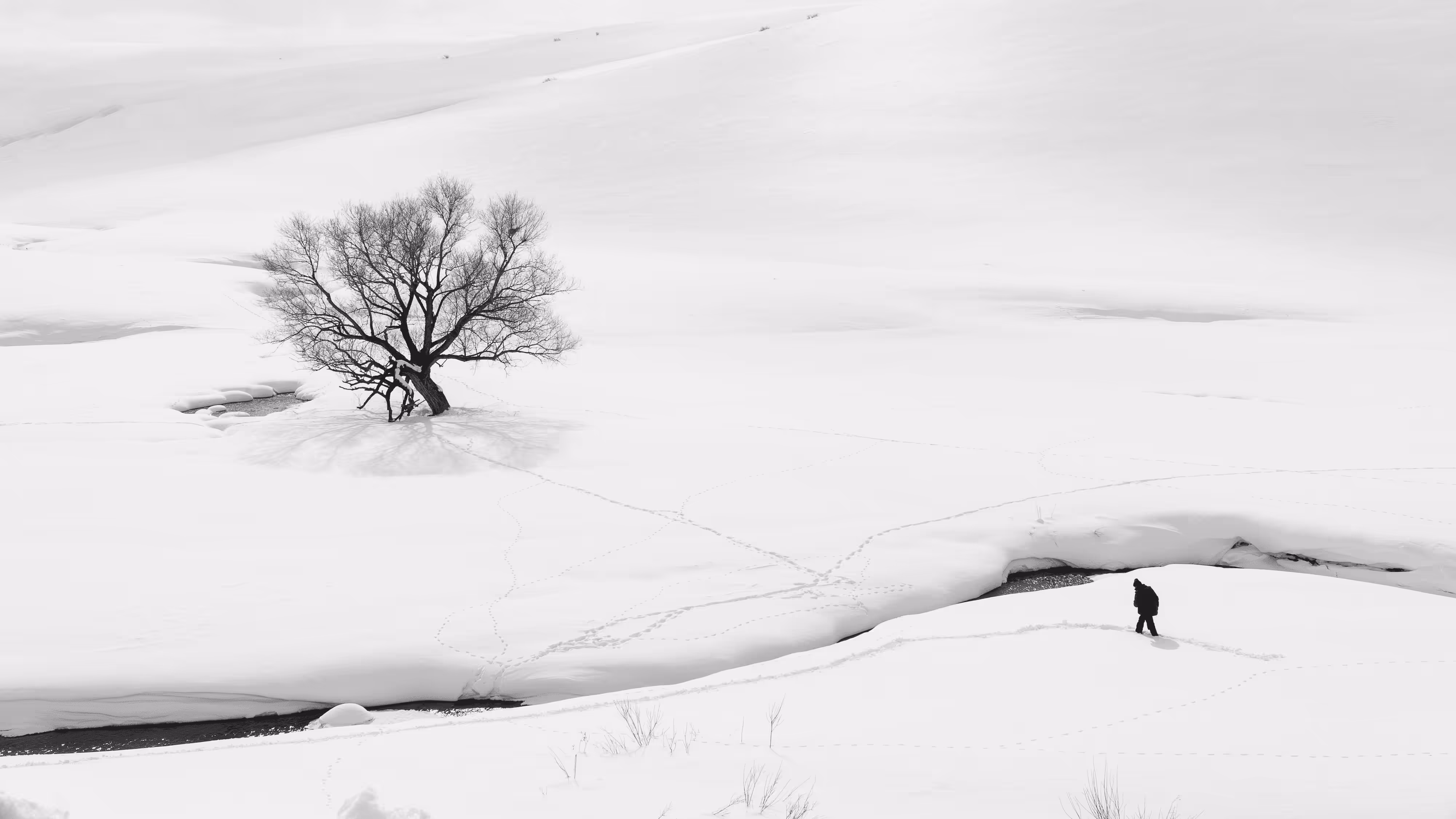 cold-1