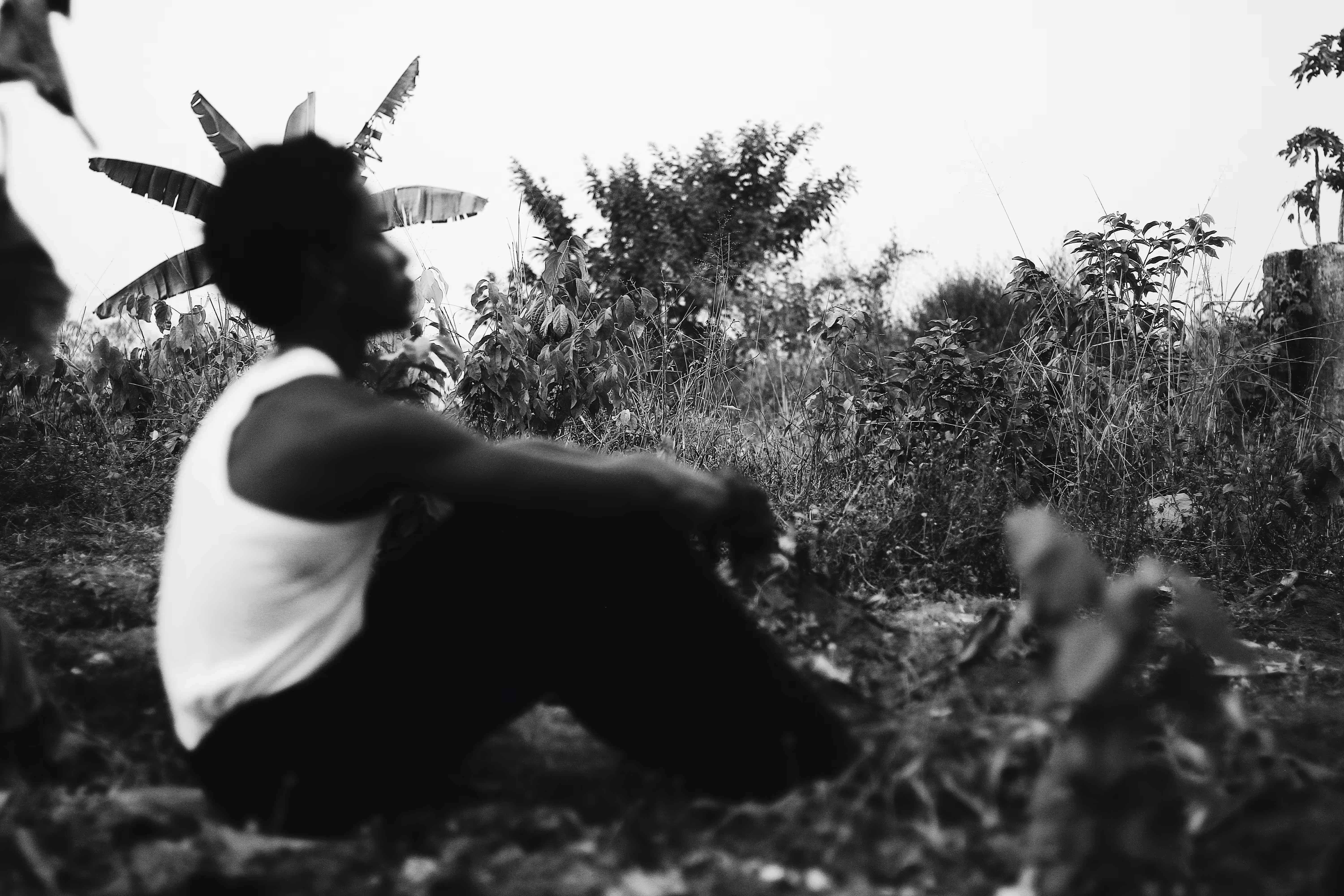 Storytelling Collection: "Roots and Shadows"