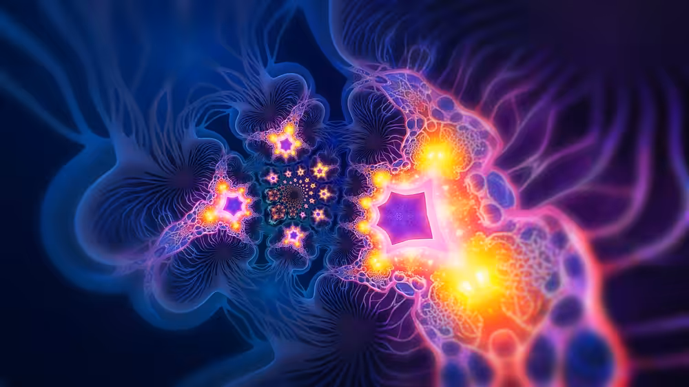 Duality