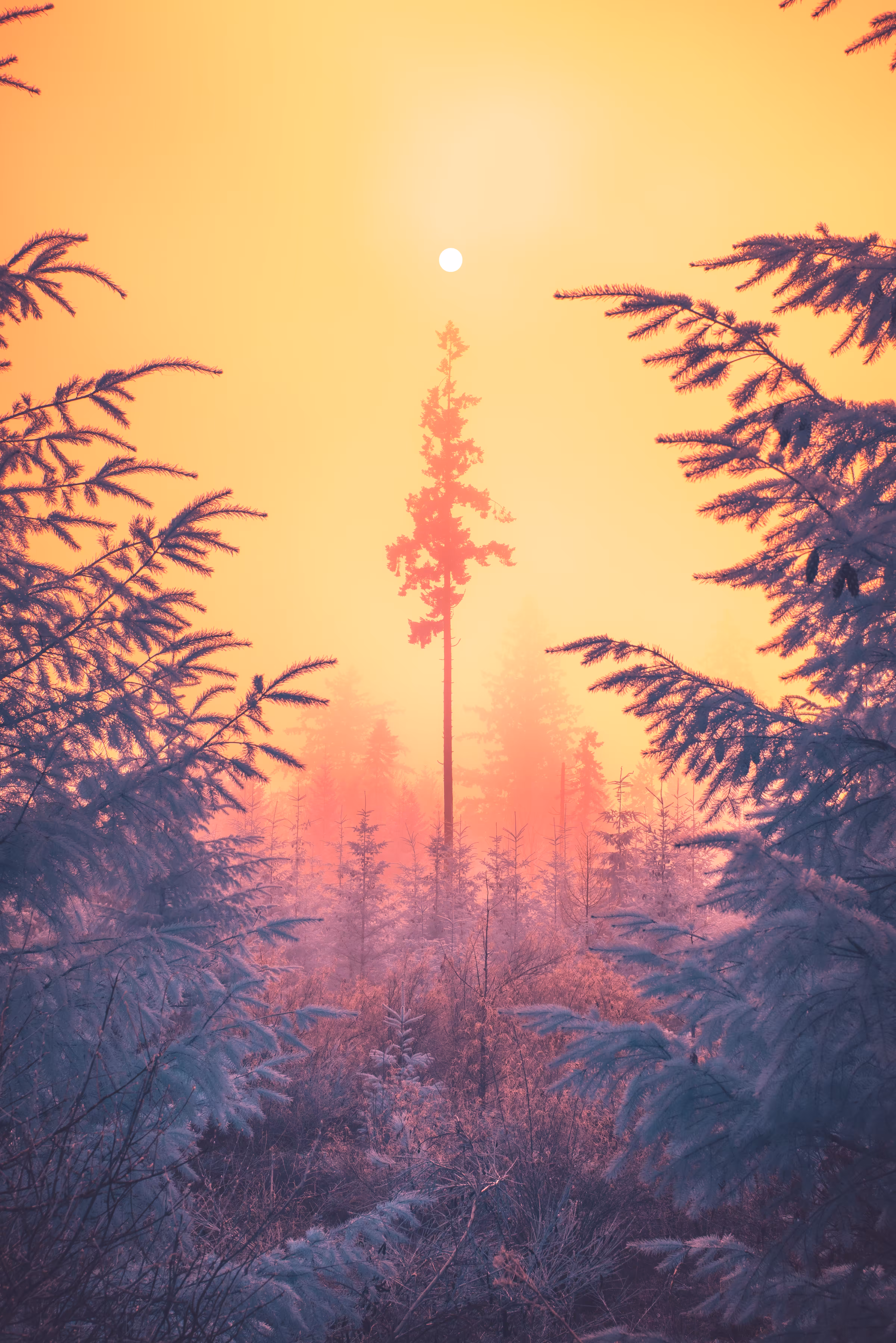 Aligned