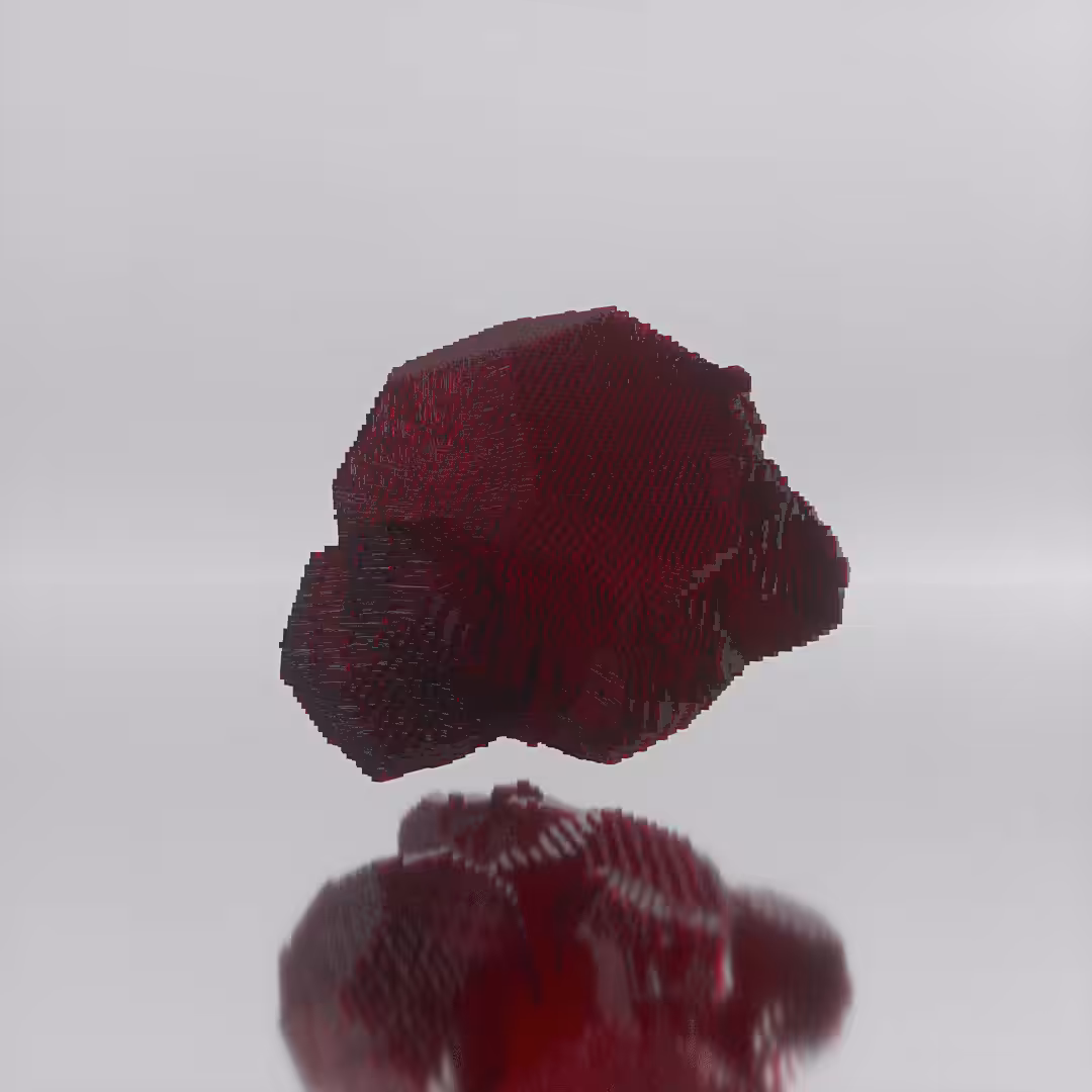 Voxel