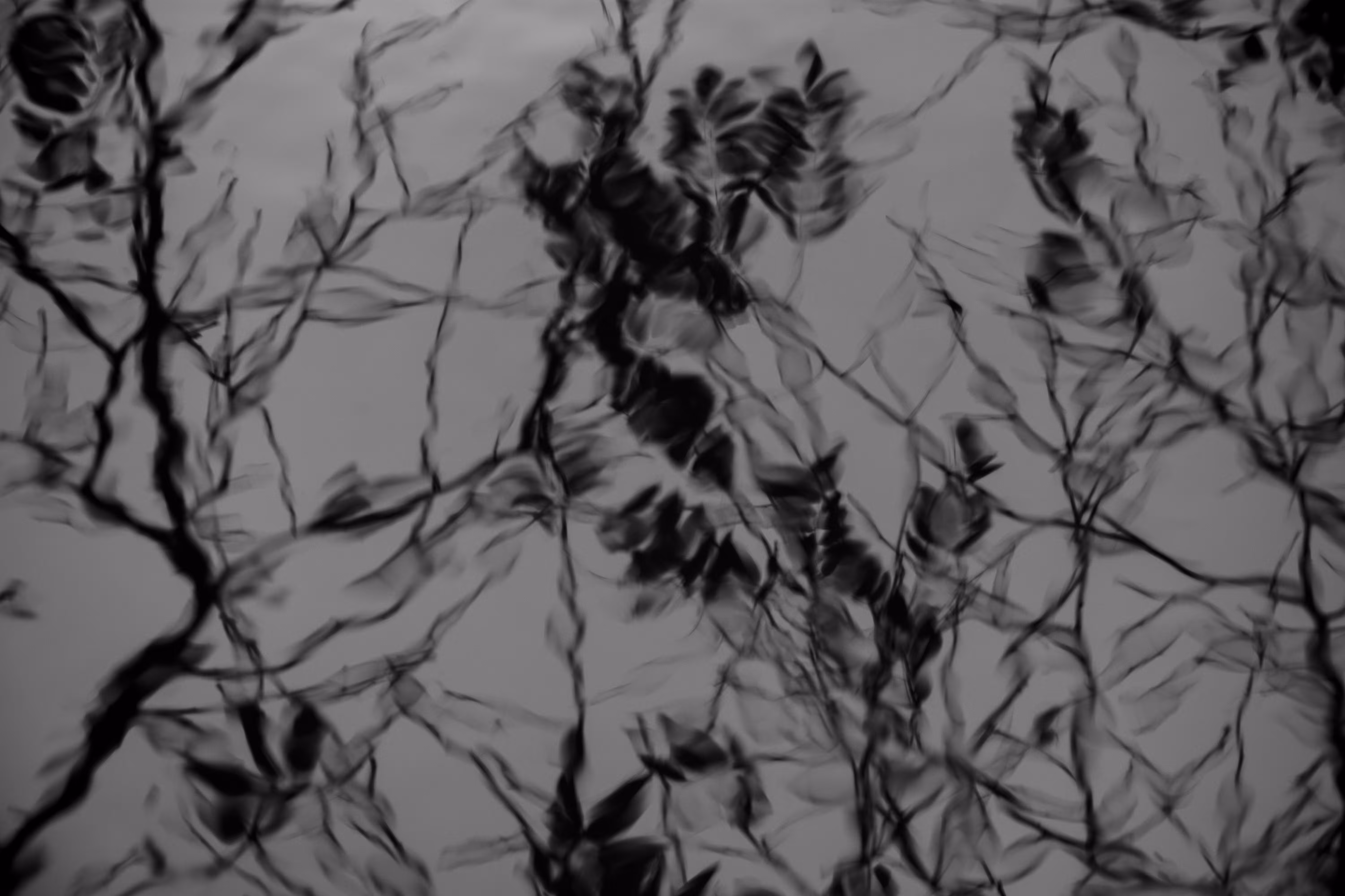 Get lost in water #1