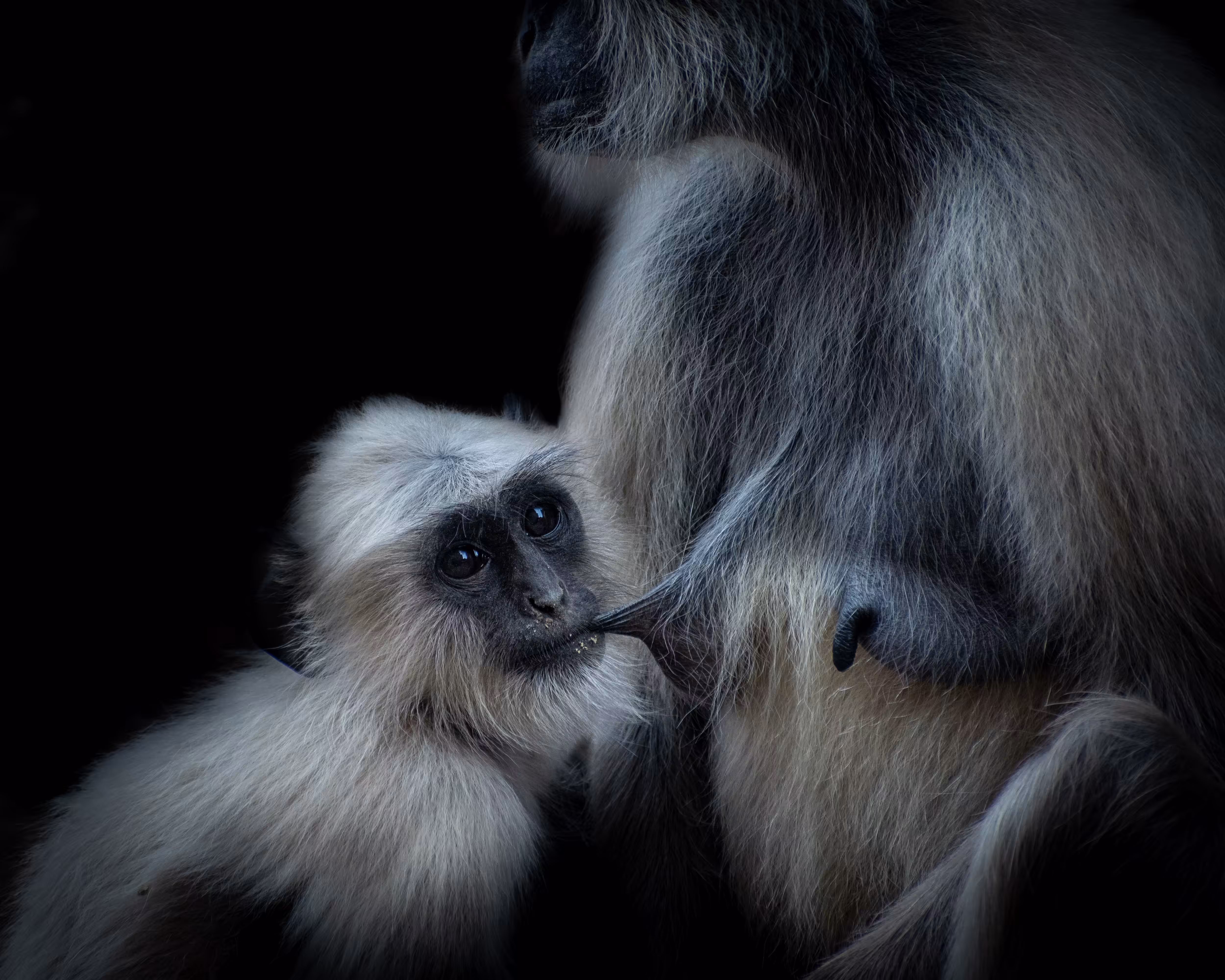 Unconditional Love