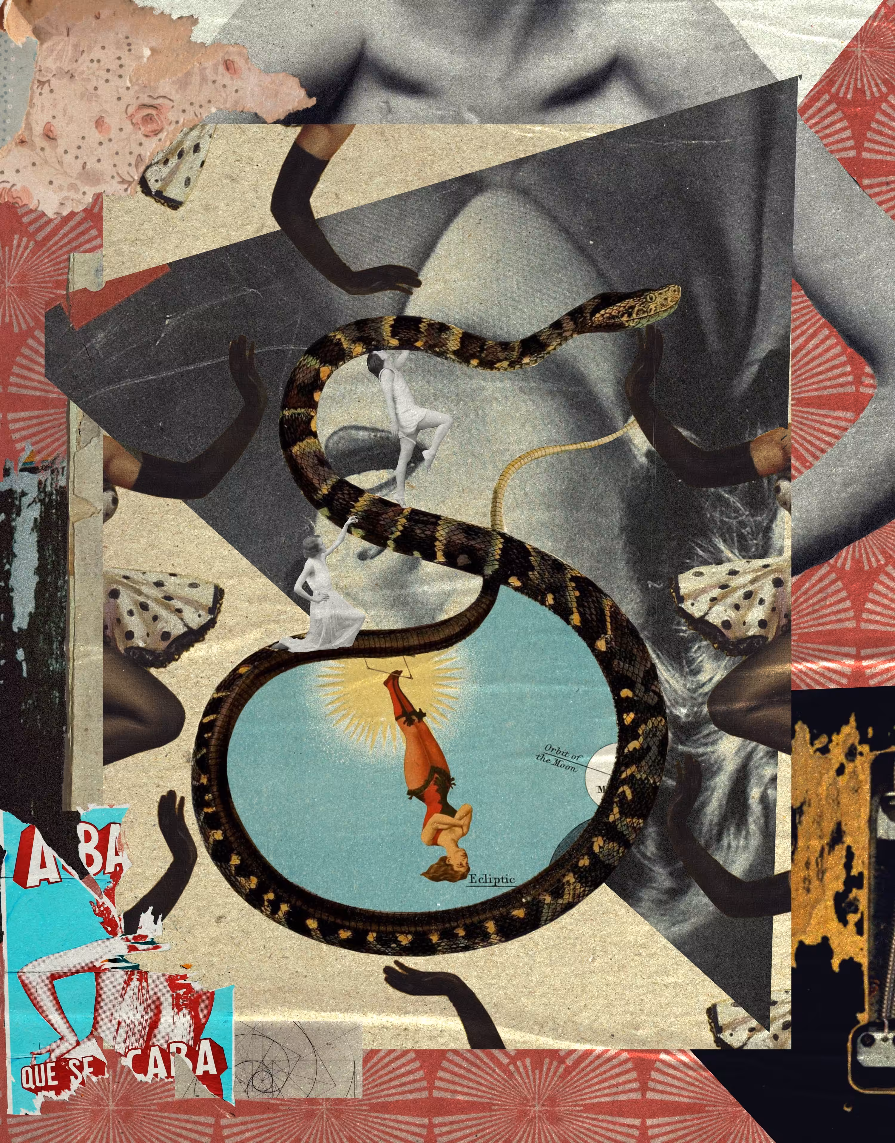 The acrobat