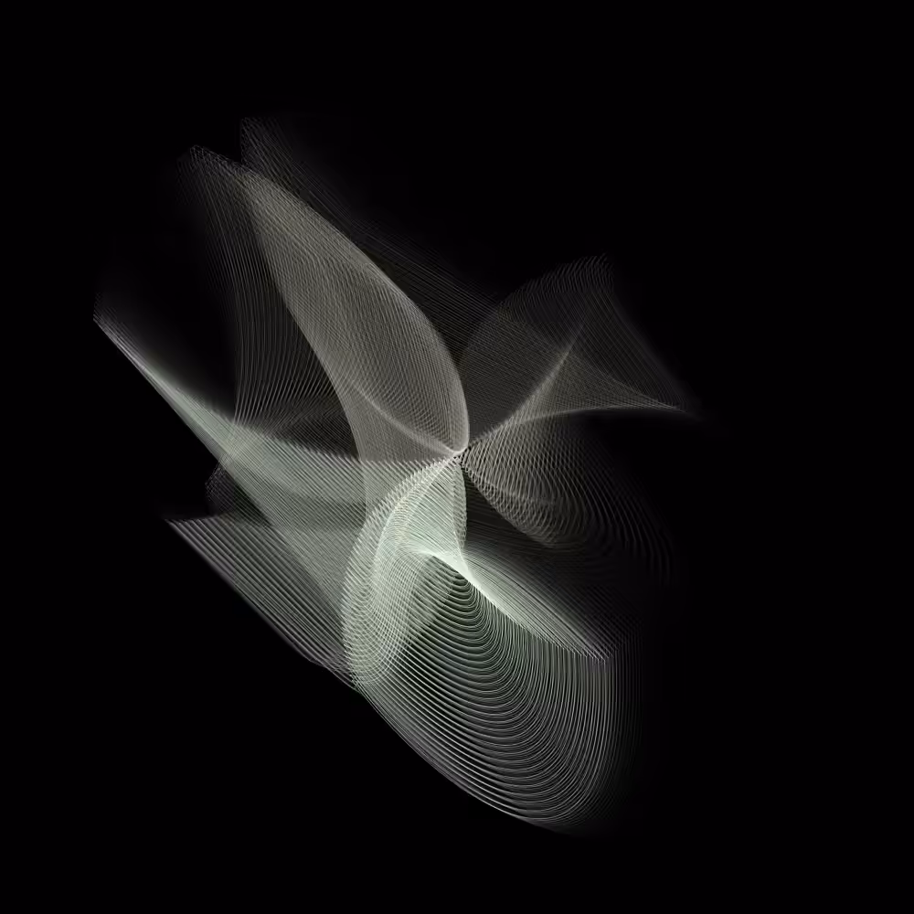 Organism 01 (Contour-Motion)