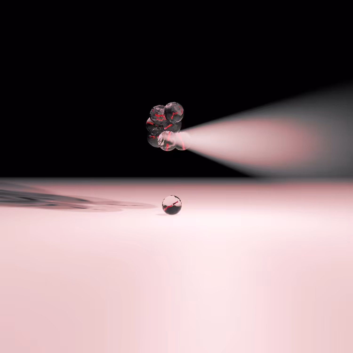 METAMORPHOSIS : RECOVER FIRST