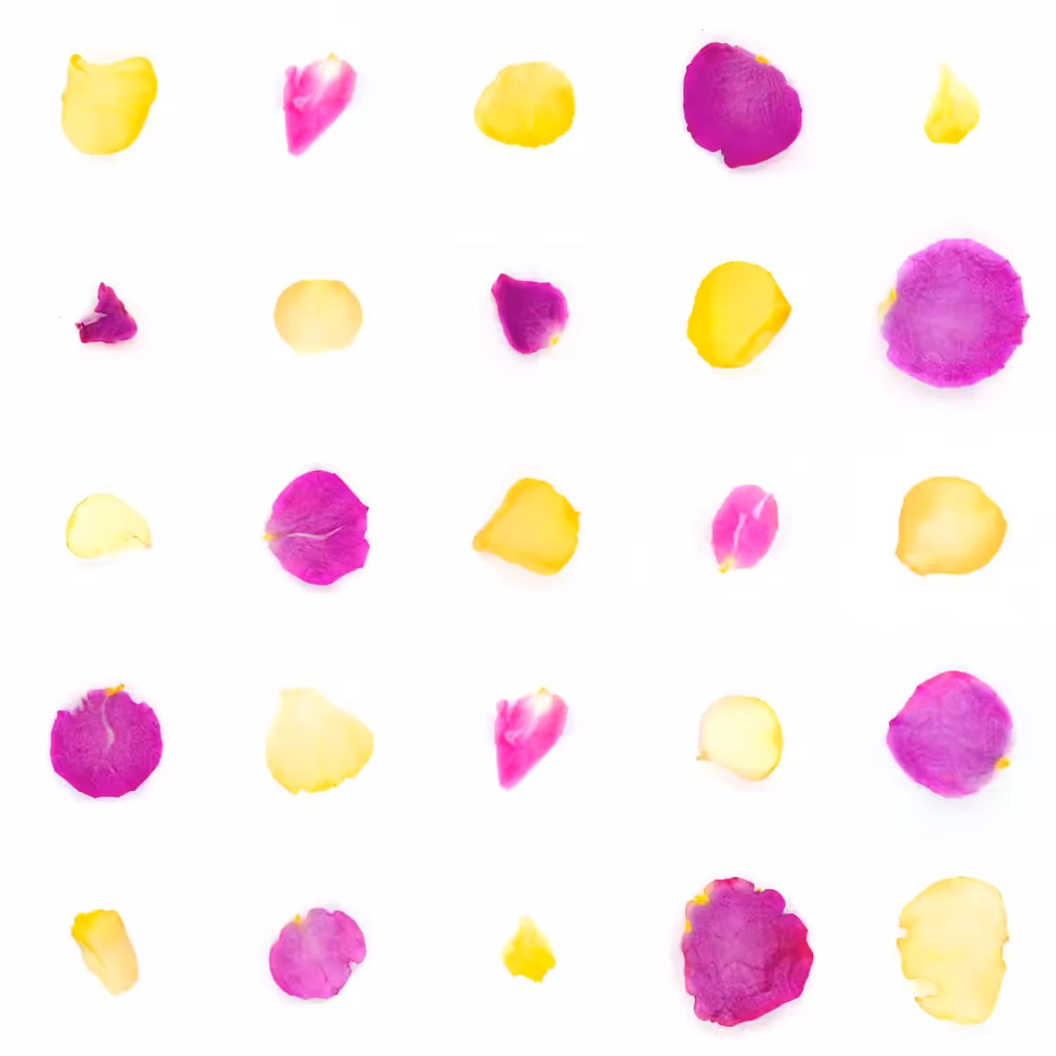 Infinite Petals 5x5#20183
