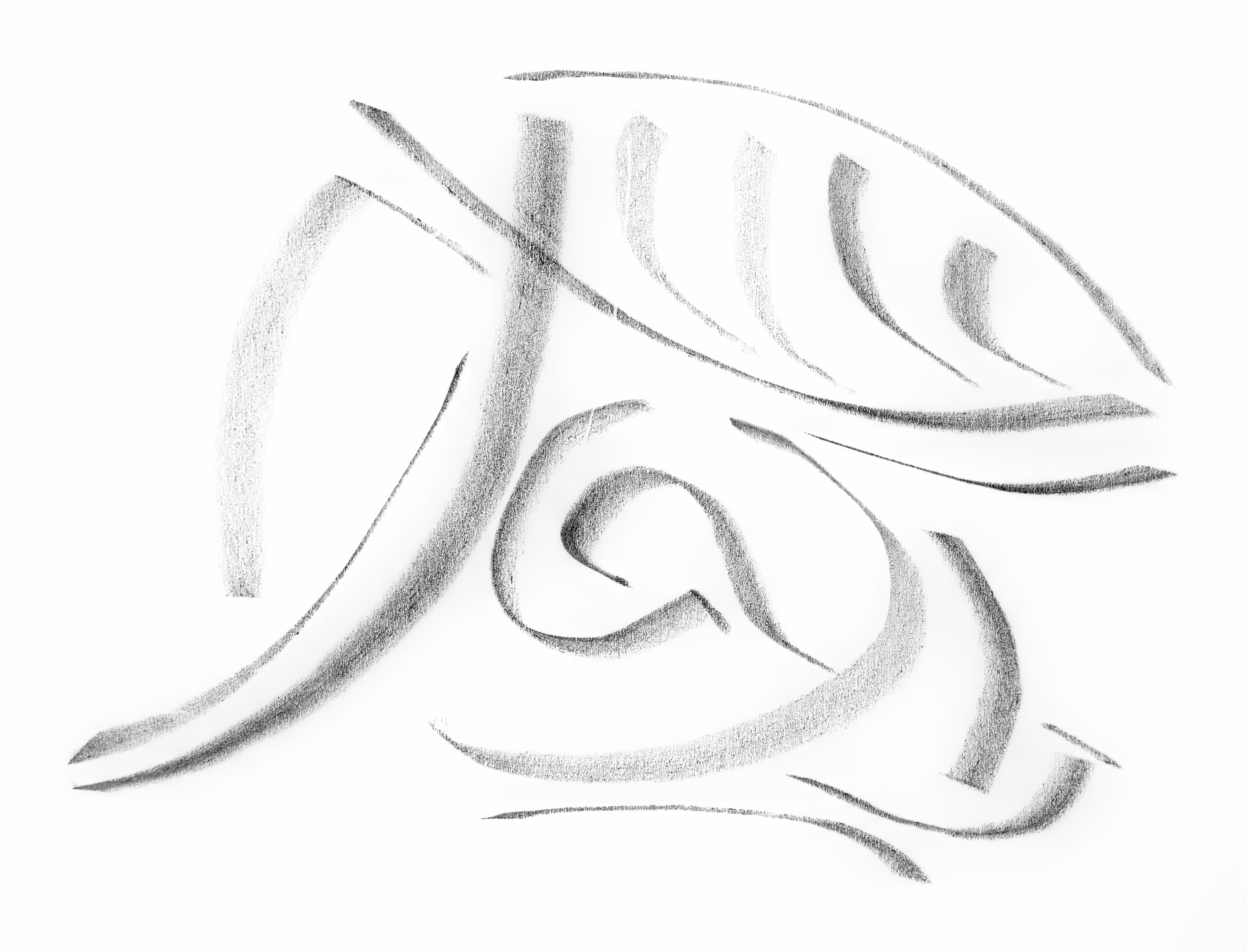 Fragment 8