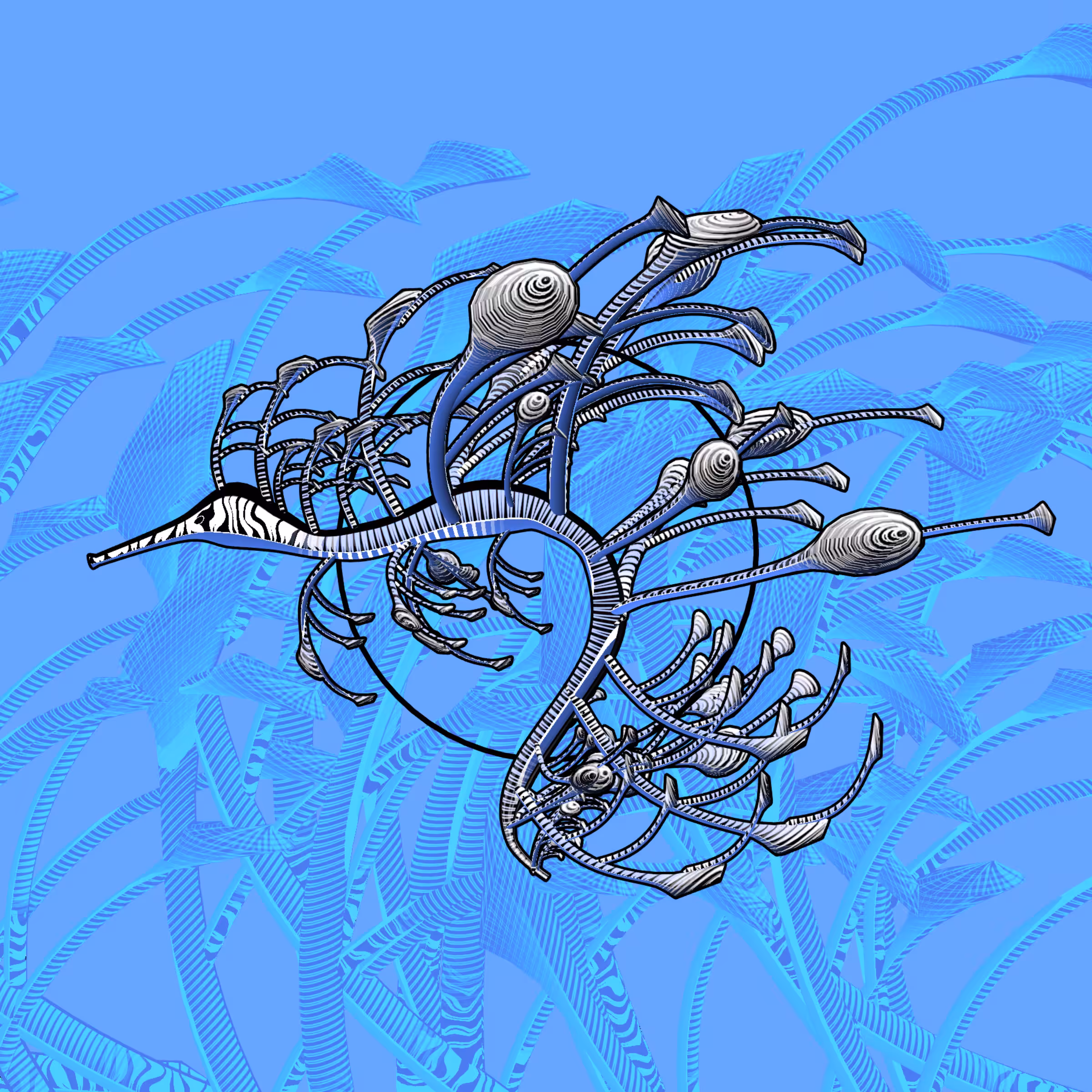 Seadragons #233