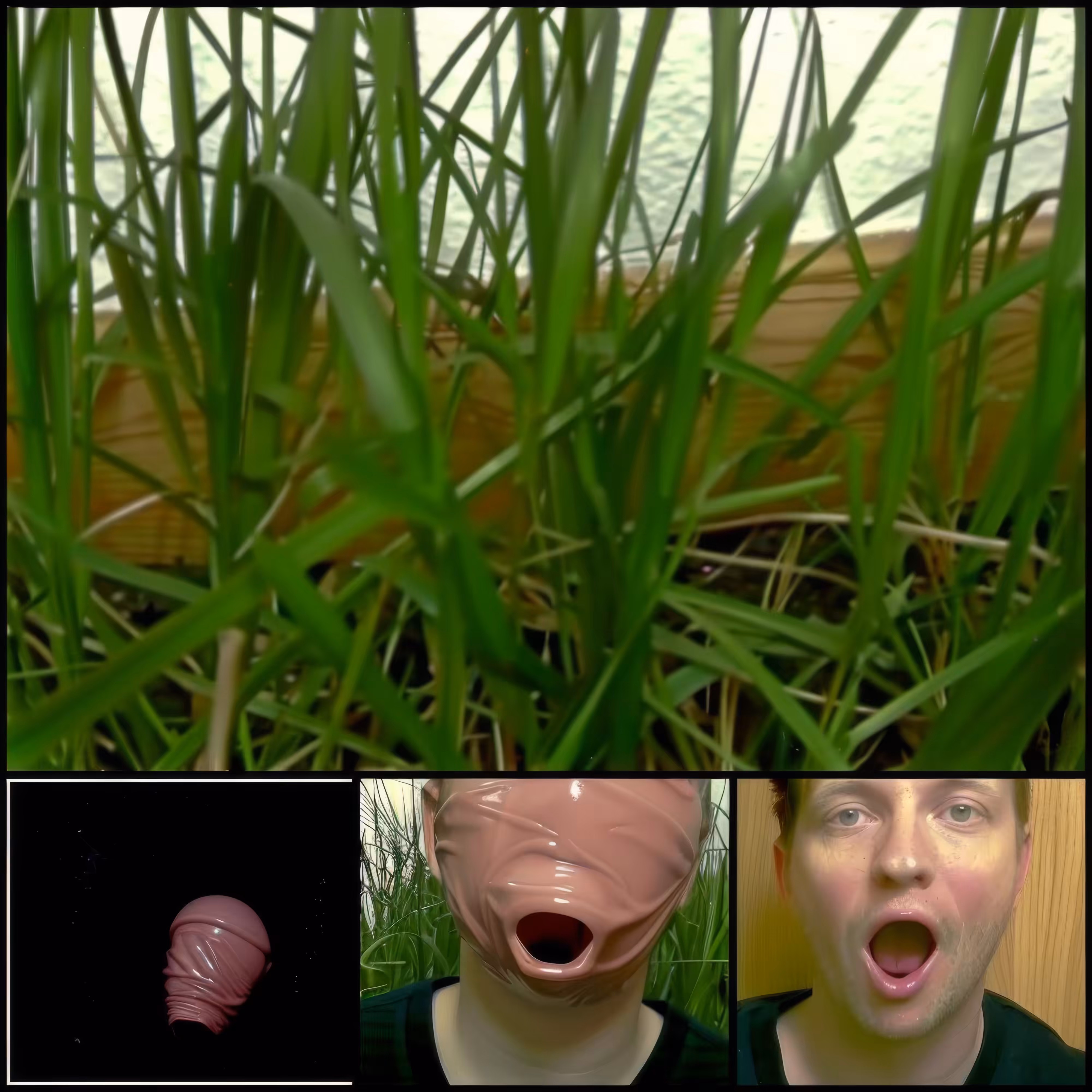 Shapeshifting-Holes