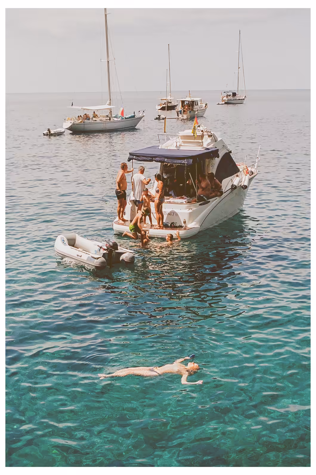 sunseeker