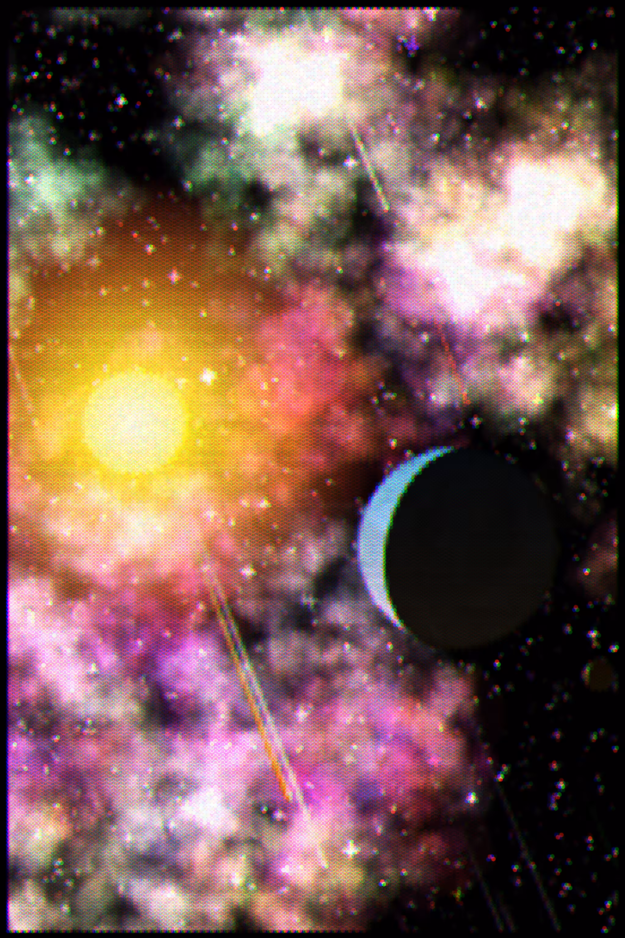 Gradient Ascent #129