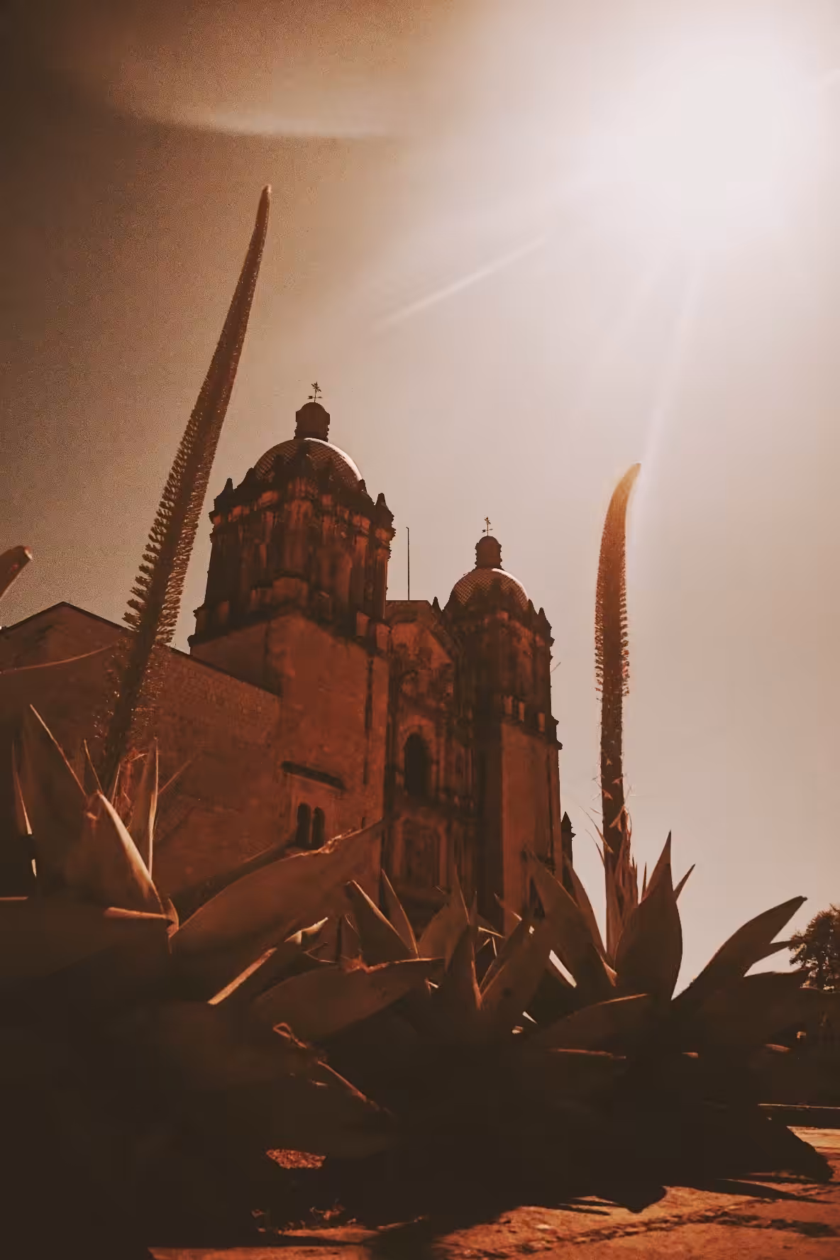 OAXACA BLOX 2020 21 