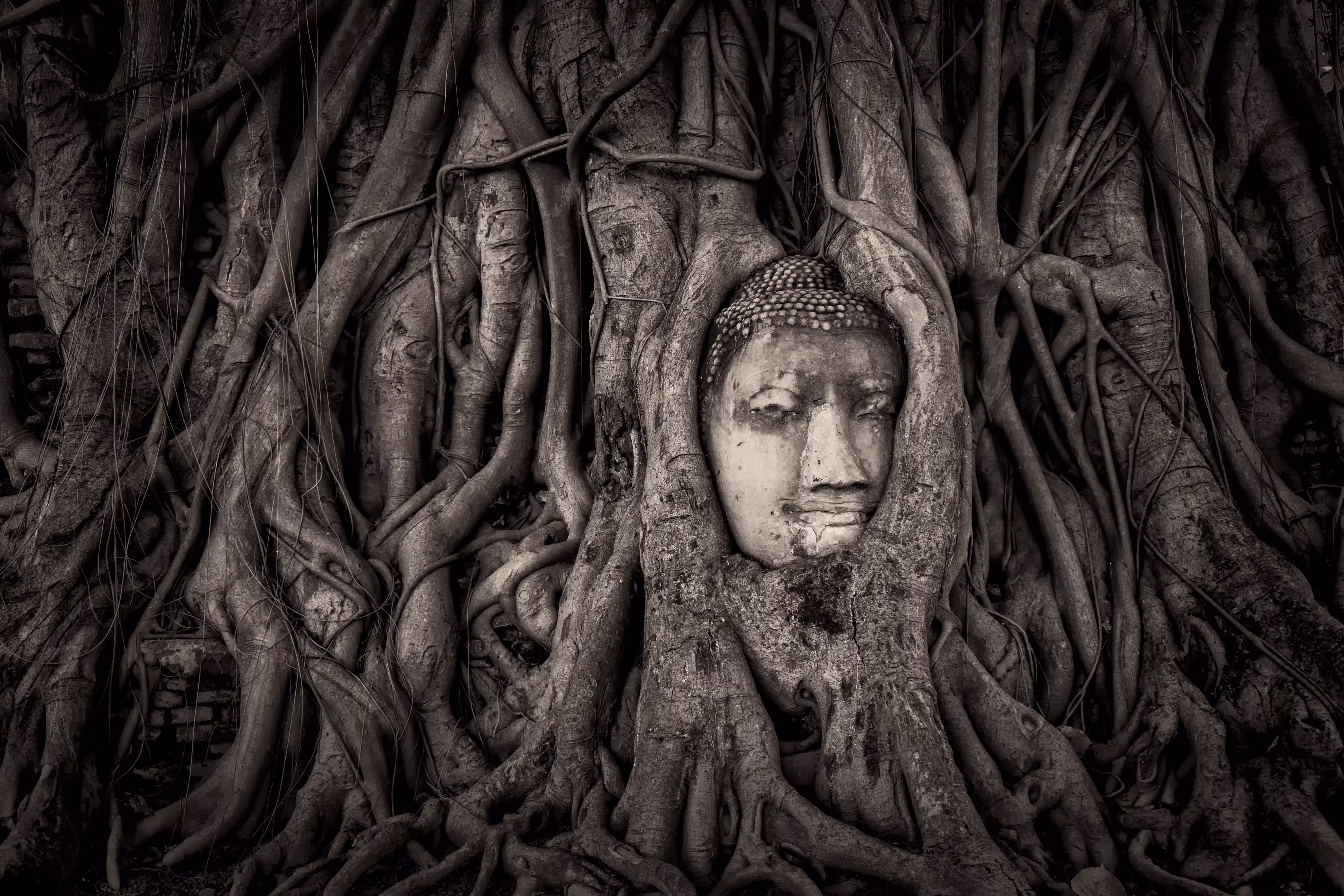 Icons Of Asia I: Serenity
