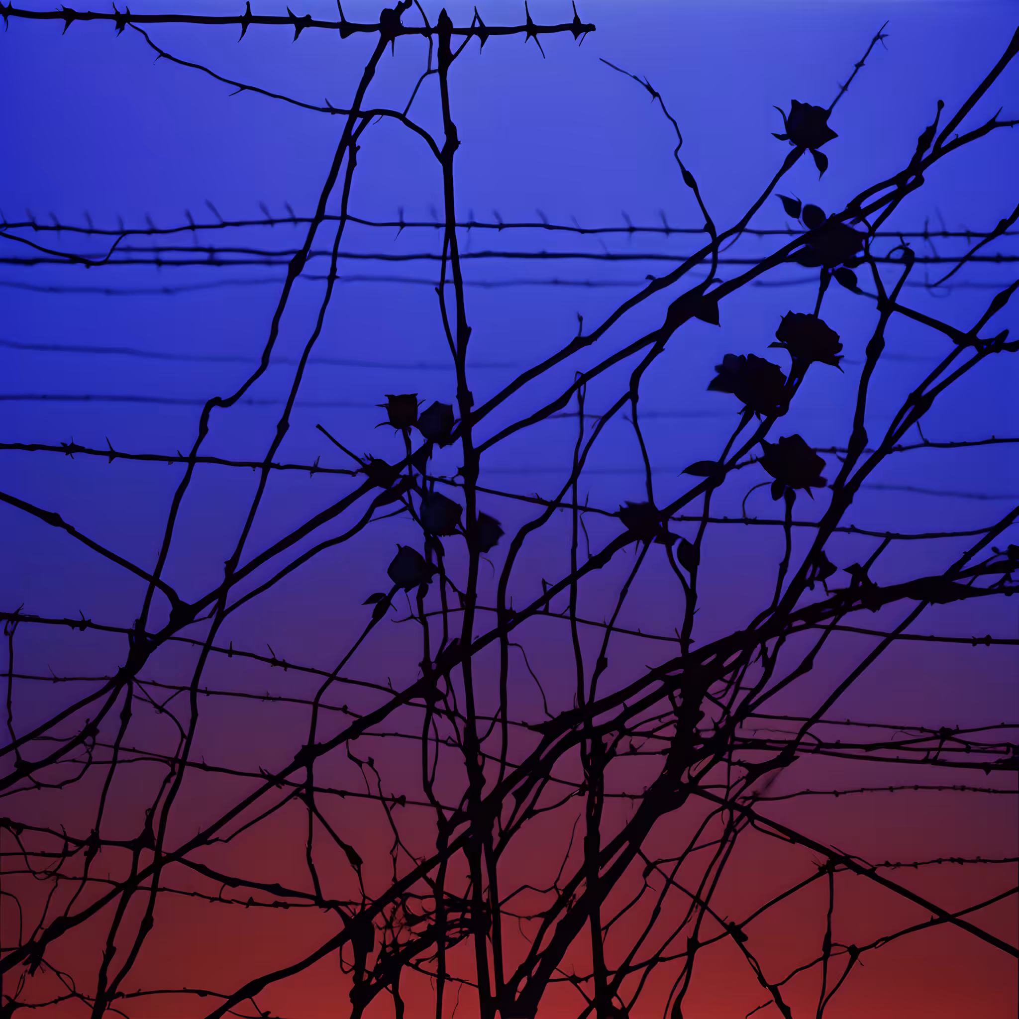 Between the hurricane and the wind #78