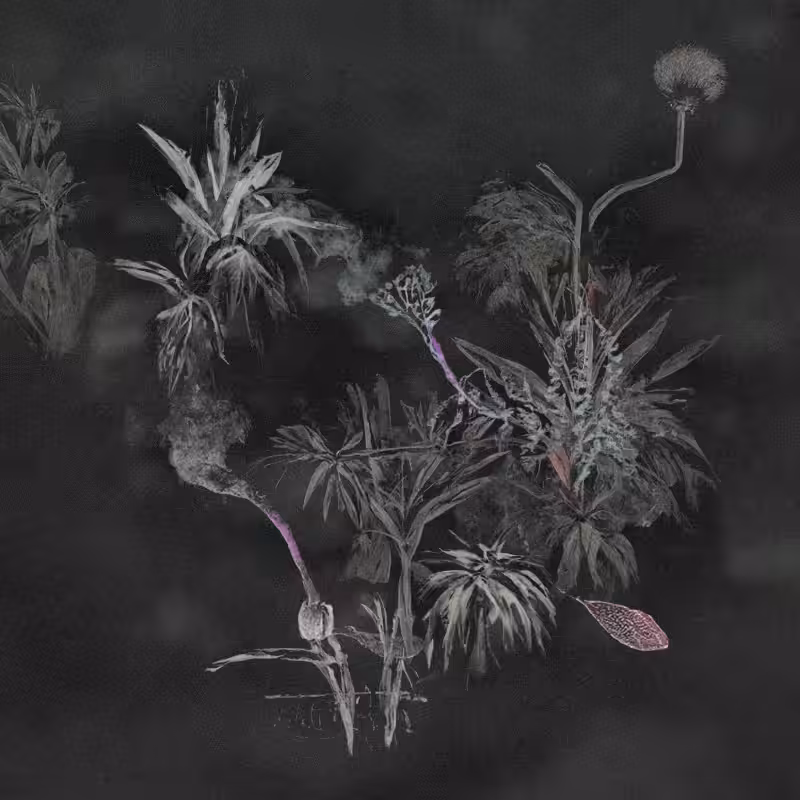 Hauntological Herbarium #16