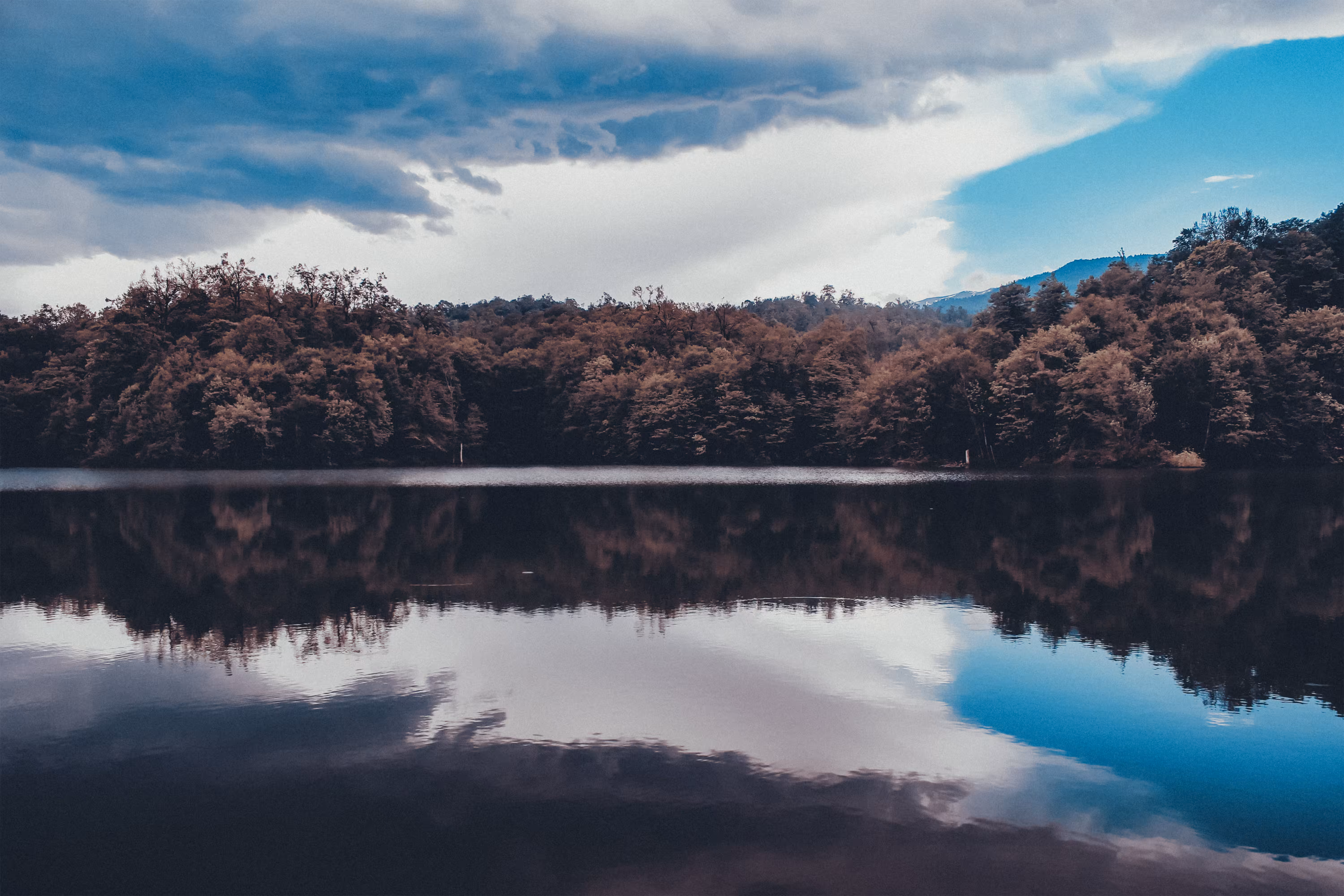 Reflection of Silence