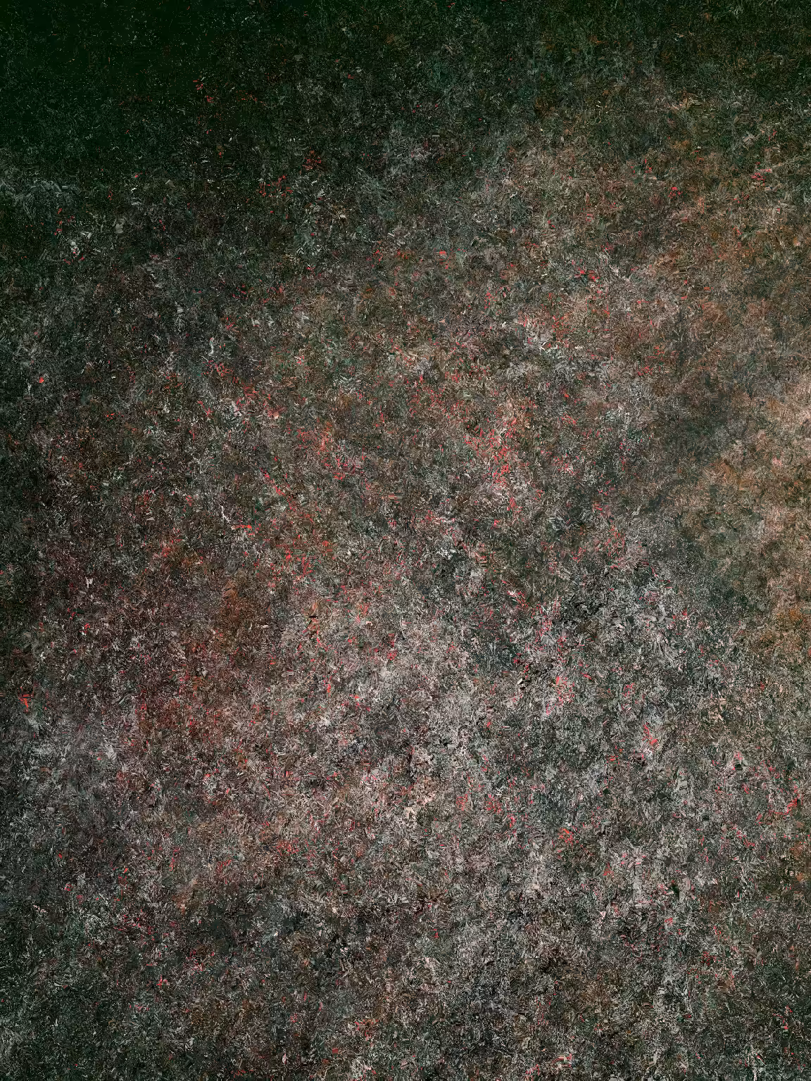 Remains #103