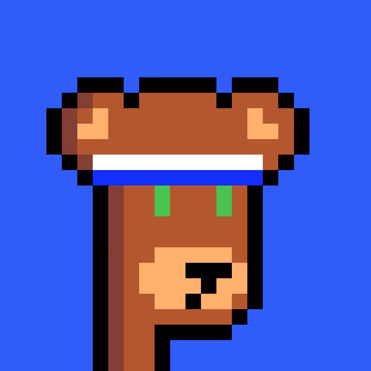 BearPunks #2466