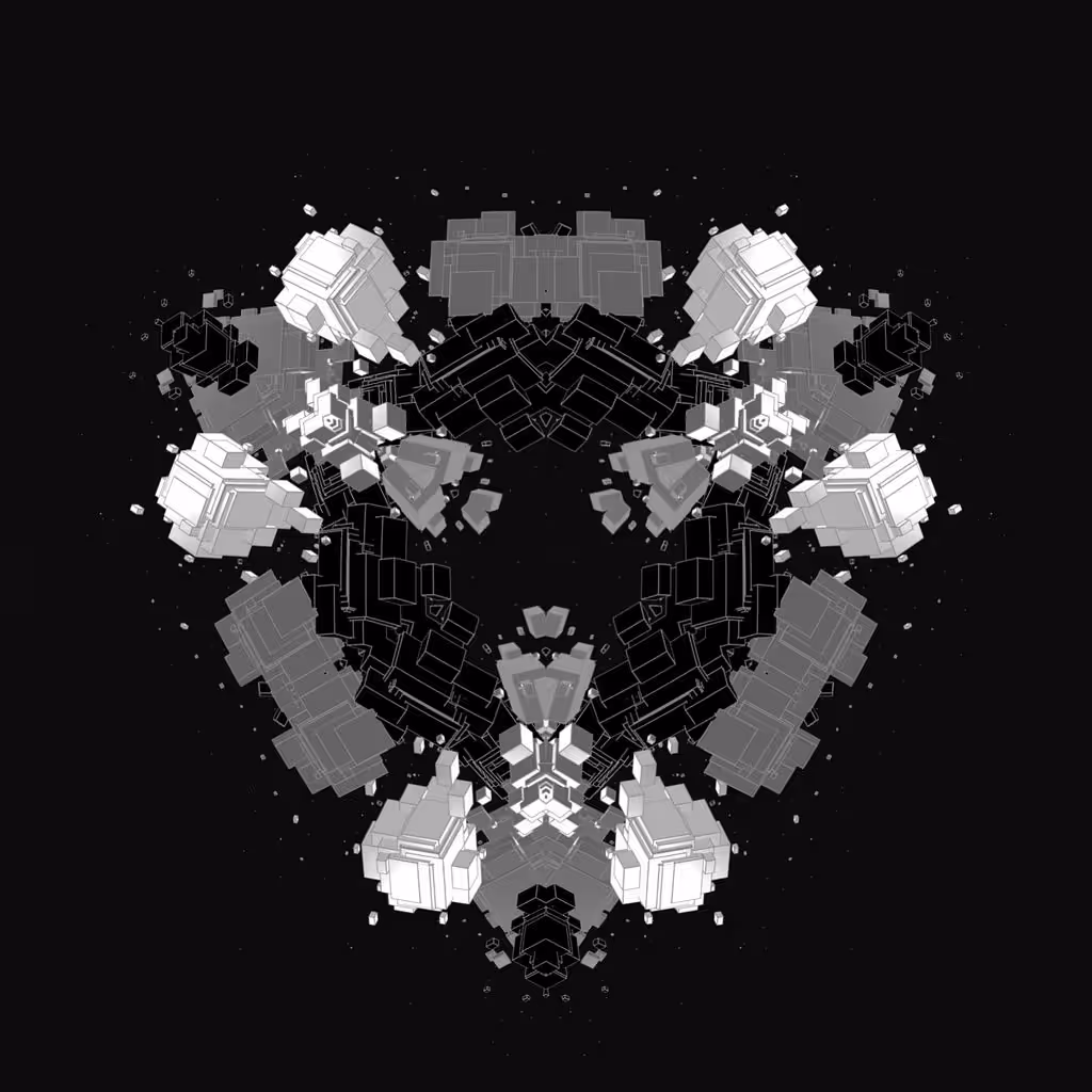 Renaissance Monochrome: PX-90//b&n[1] Loop Unit