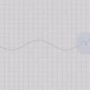 For all the snowy days simulation