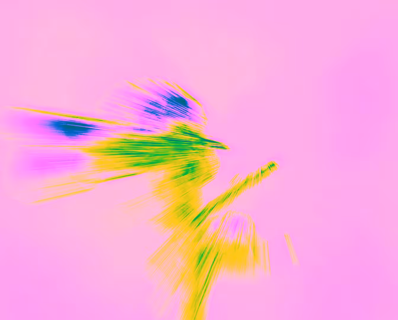 Electric Blossom X5