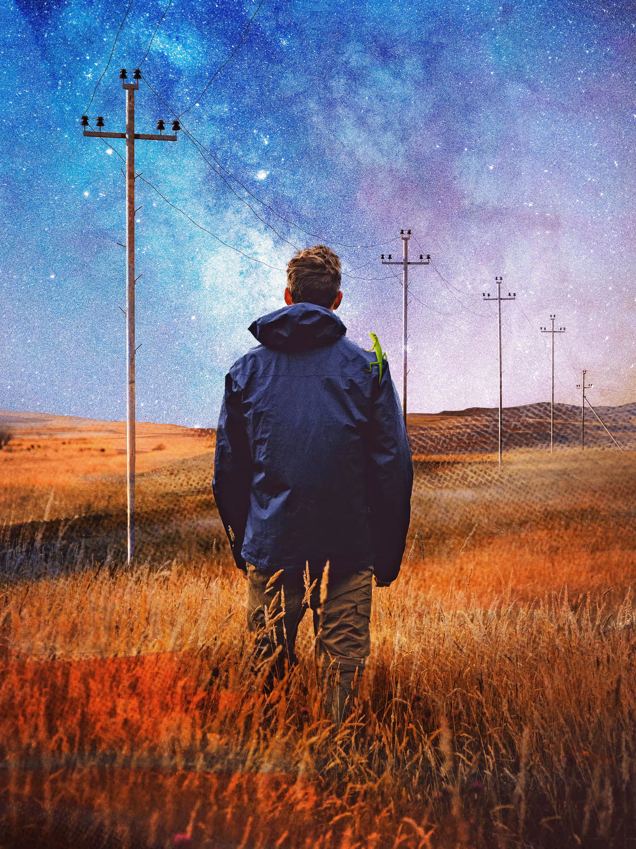 Field of Dreams