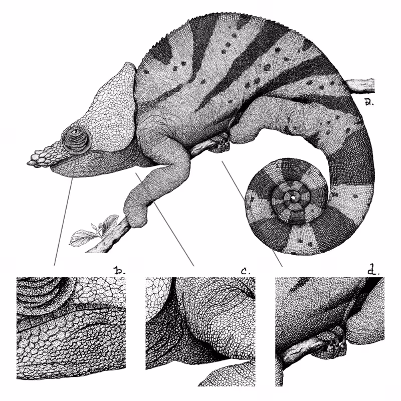Chameleon - plante 1 #7