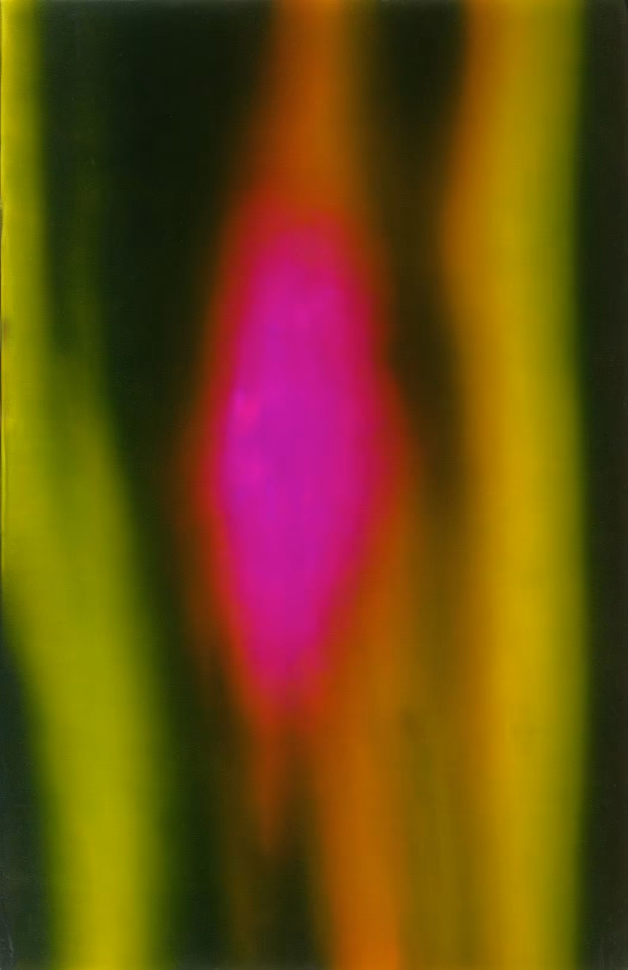 Death Mask Aura Portraits #36