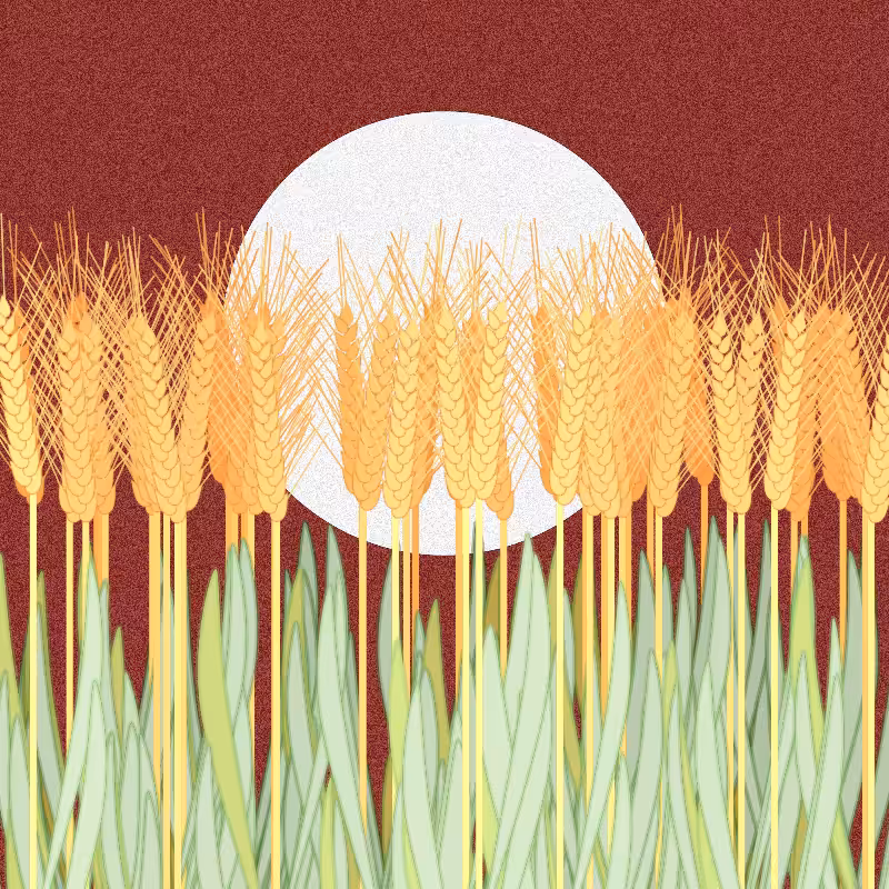 Symbiosis #55